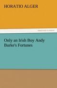 Vorderes Coverbild Only an Irish Boy Andy Burke's Fortunes