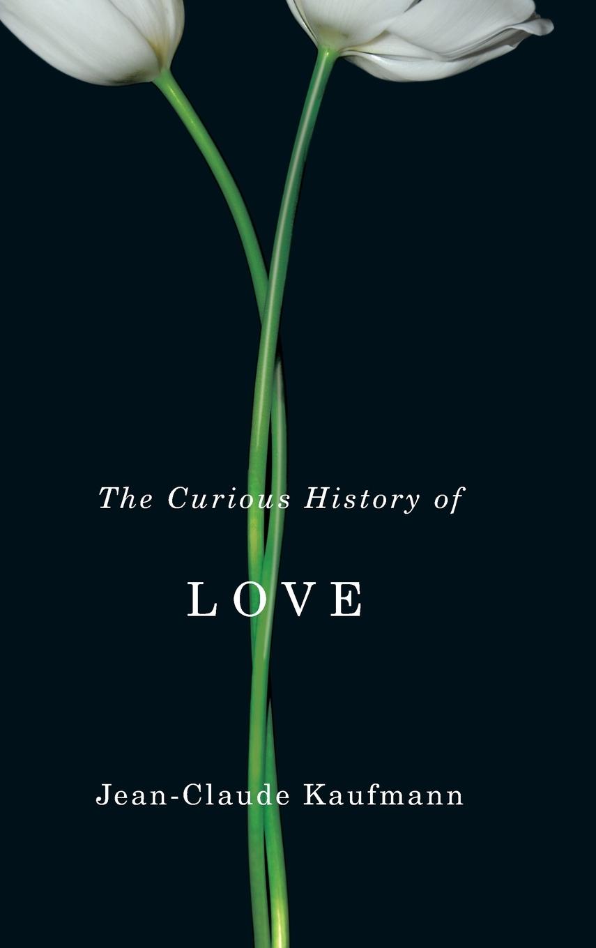 Vorderes Coverbild The Curious History of Love