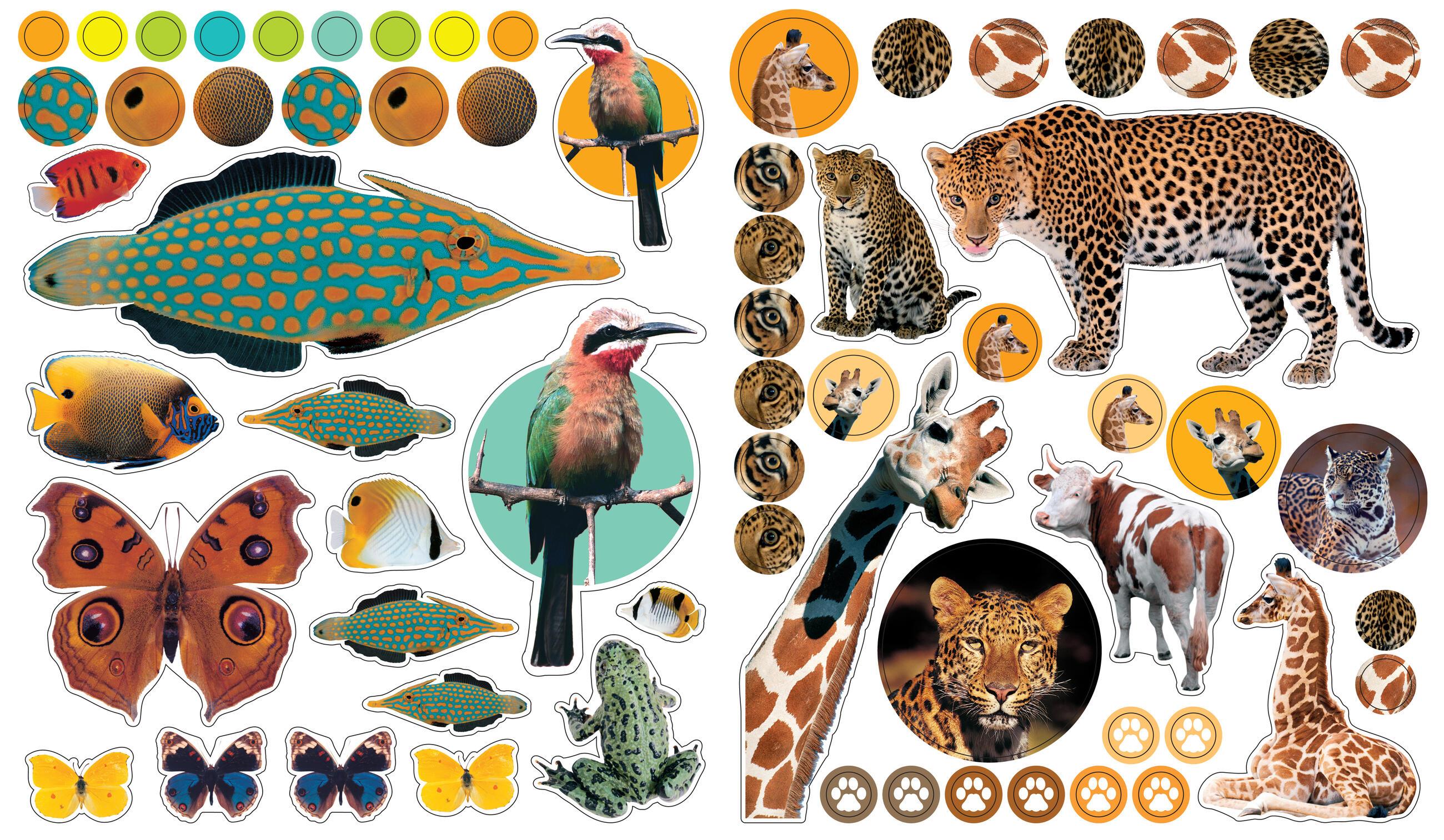 Beispielinhalt (Bild) EyeLike Stickers: Animals
