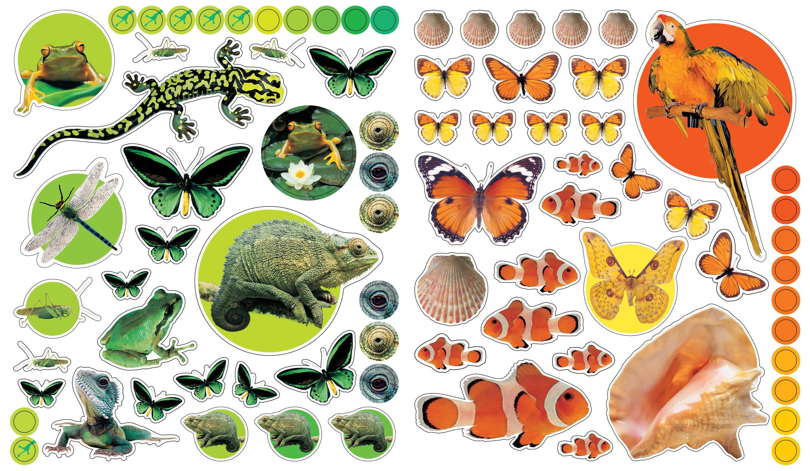 Beispielinhalt (Bild) EyeLike Stickers: Animals