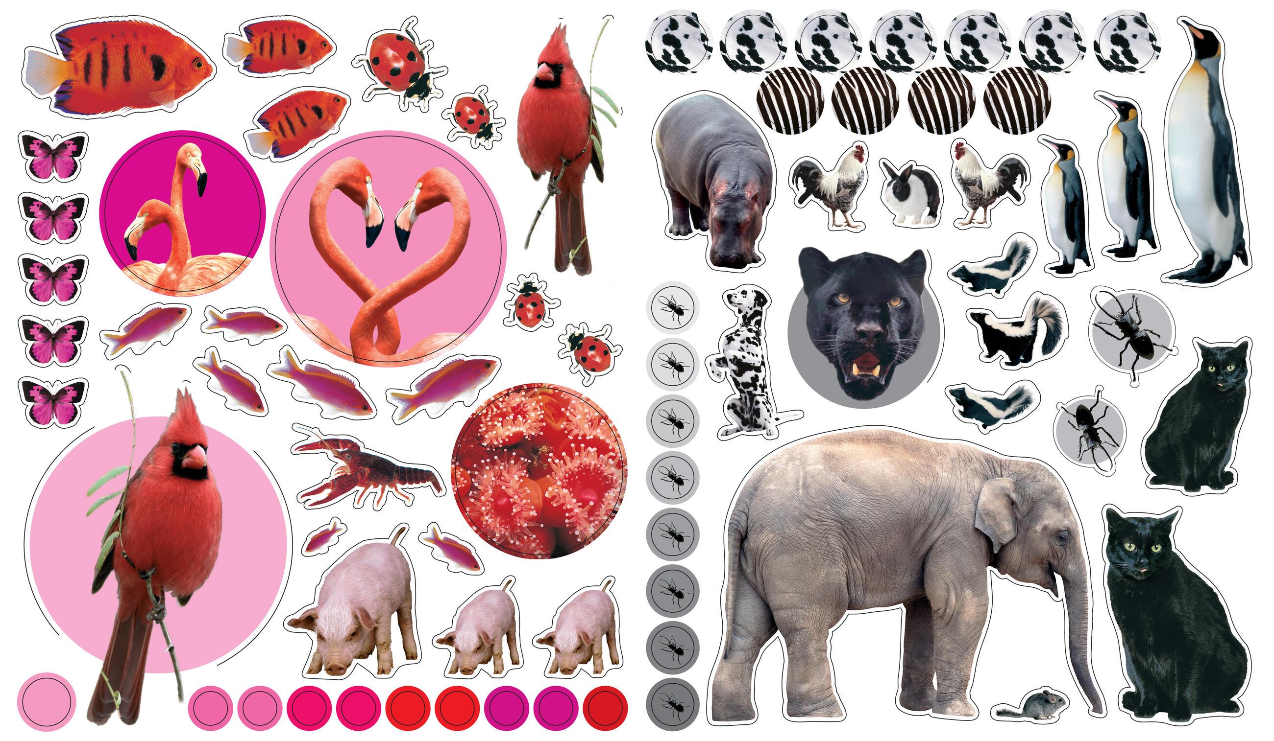 Beispielinhalt (Bild) EyeLike Stickers: Animals