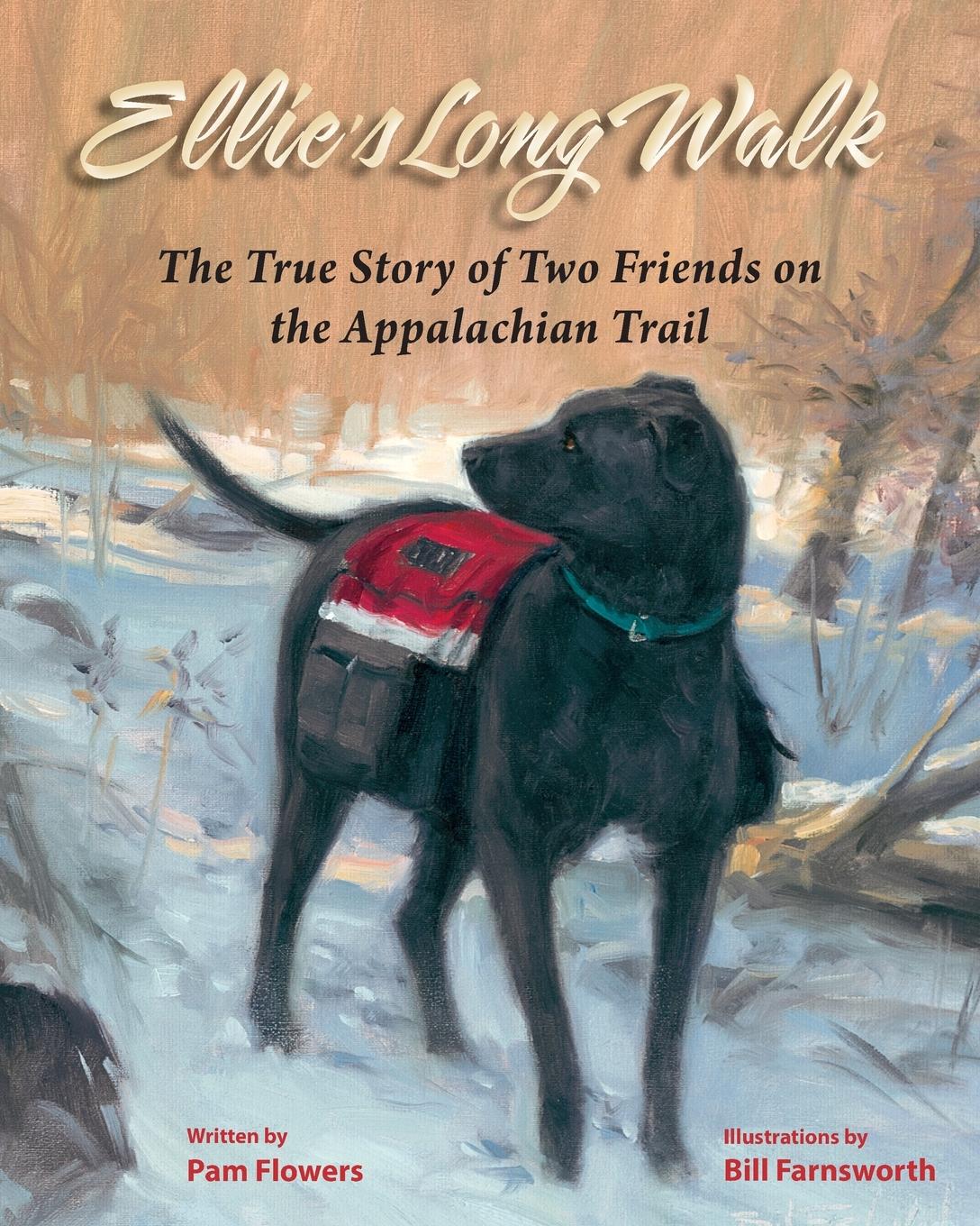 Vorderes Coverbild Ellie's Long Walk