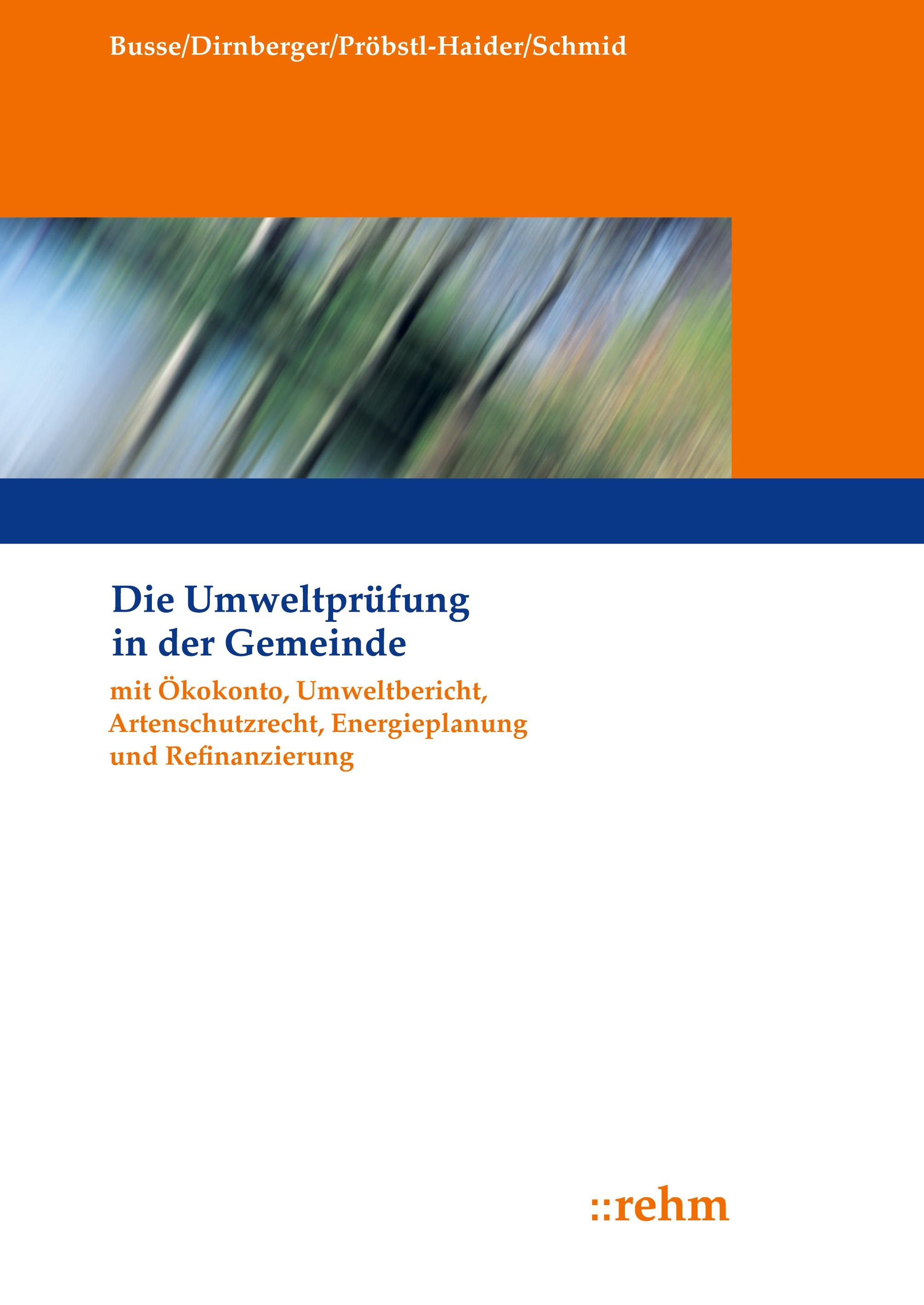 Vorderes Coverbild Die Umweltprüfung in der Gemeinde