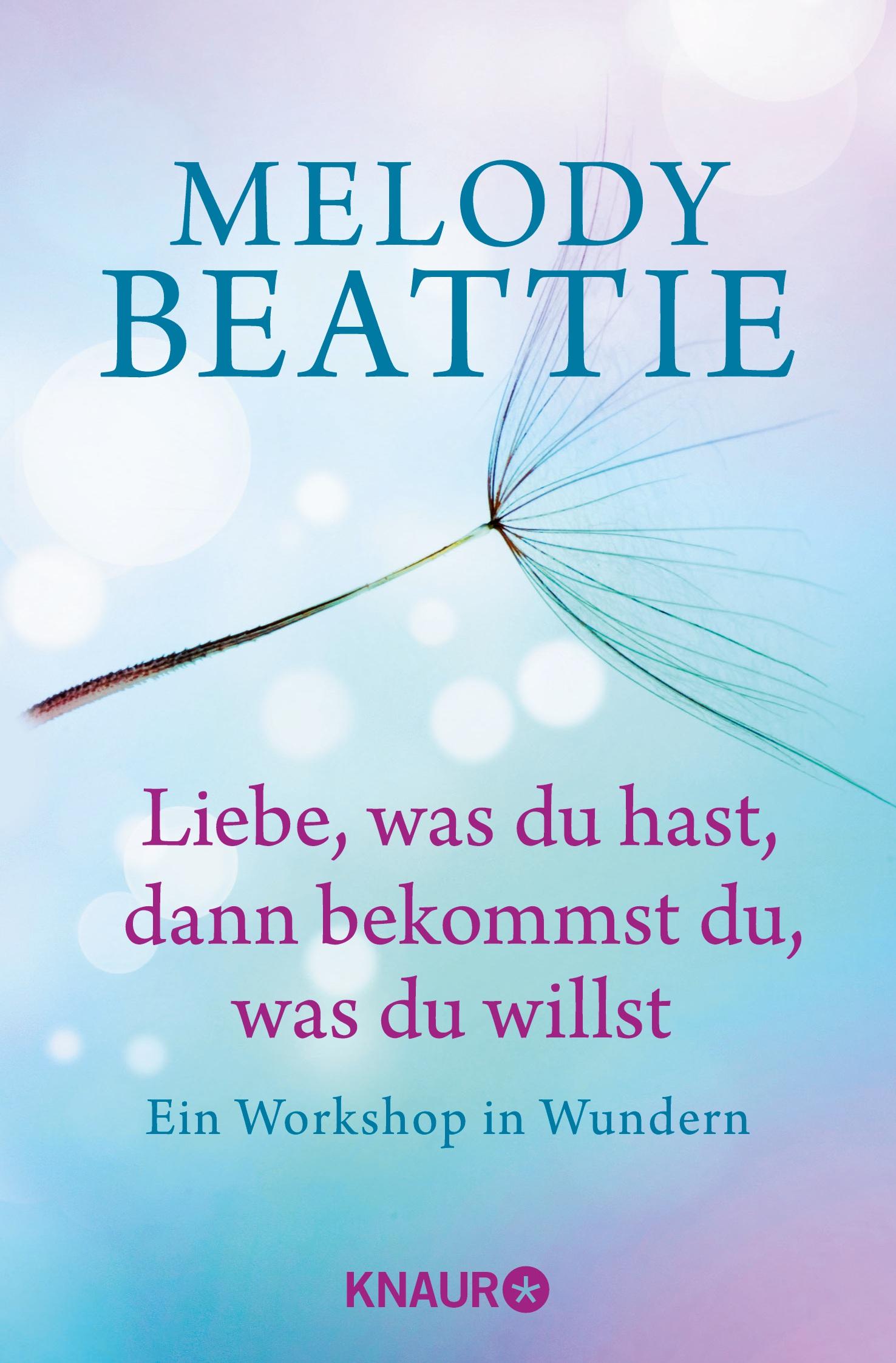 Vorderes Coverbild Liebe, was du hast, dann bekommst du, was du willst