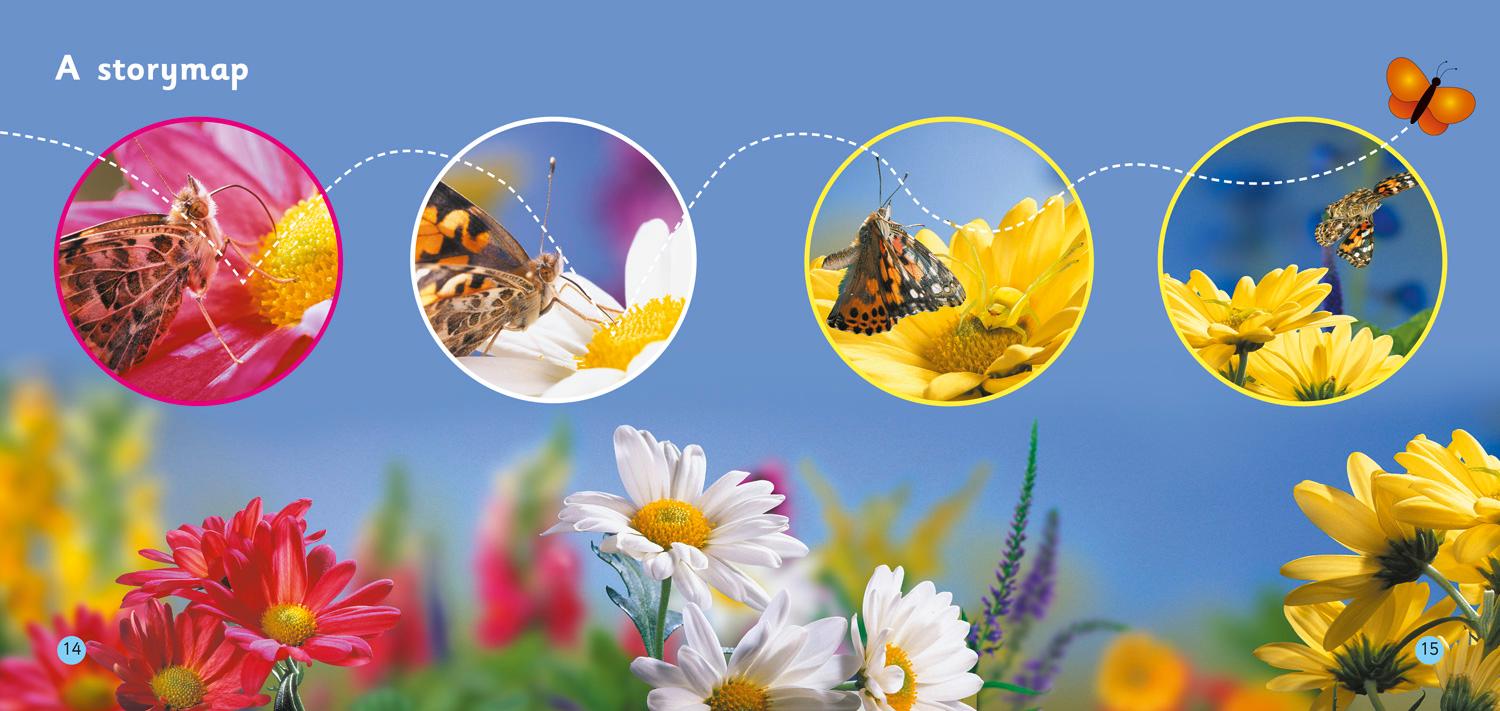 Beispielinhalt (Bild) Look Out Butterfly!