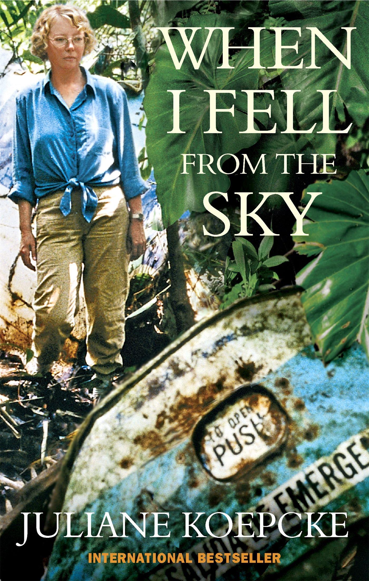 Vorderes Coverbild When I Fell From The Sky