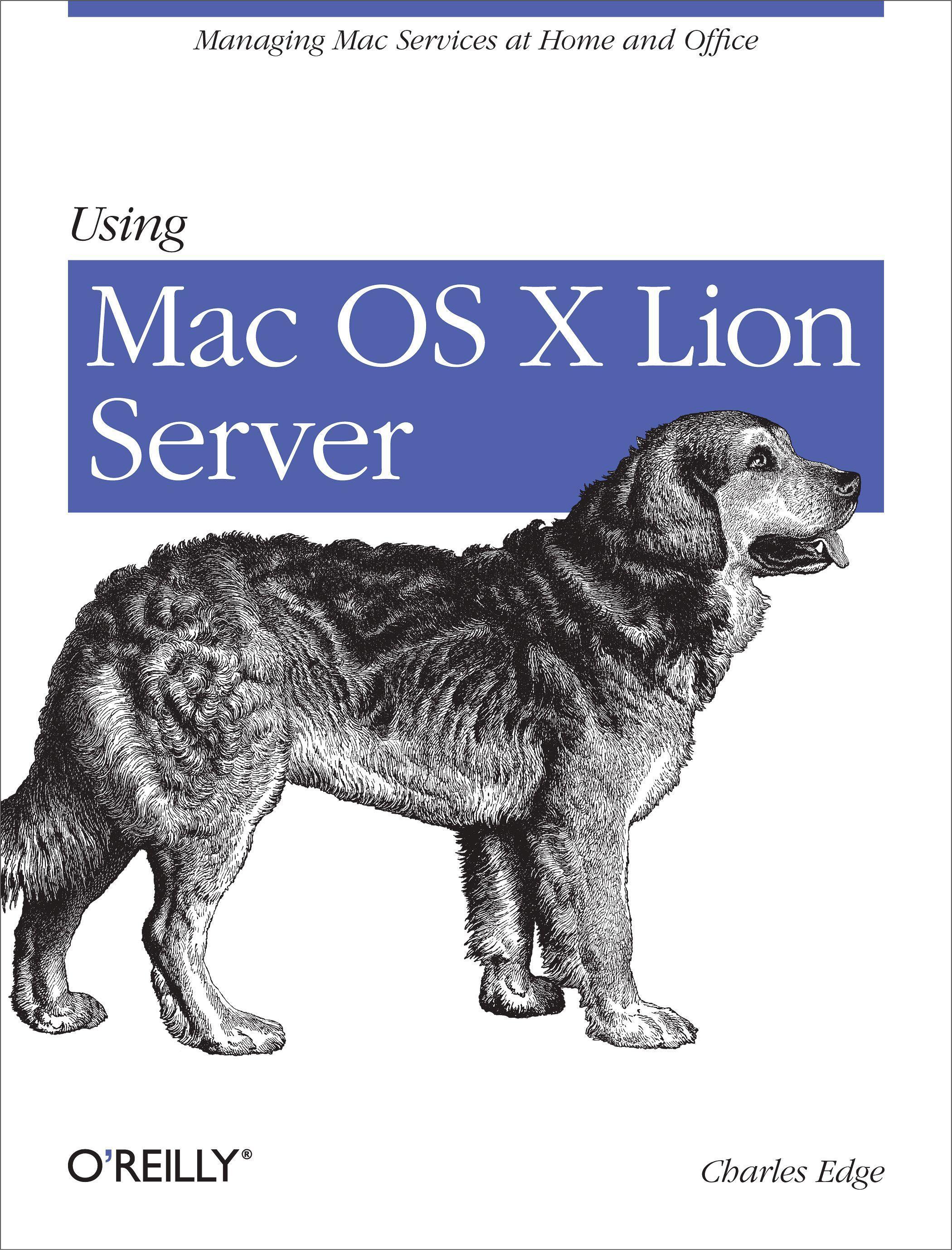 Vorderes Coverbild Using Mac OS X Lion Server