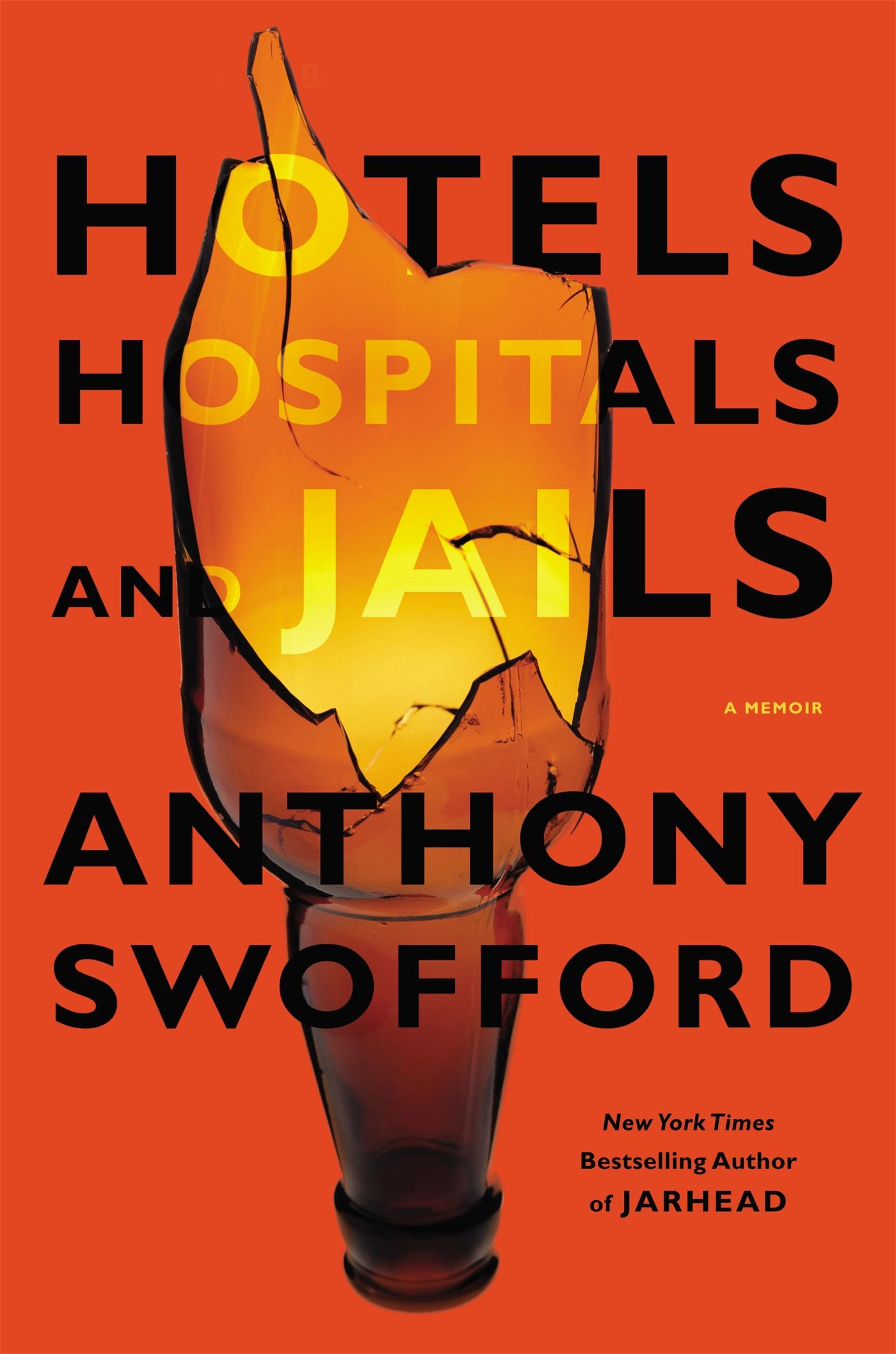 Vorderes Coverbild Hotels, Hospitals, and Jails