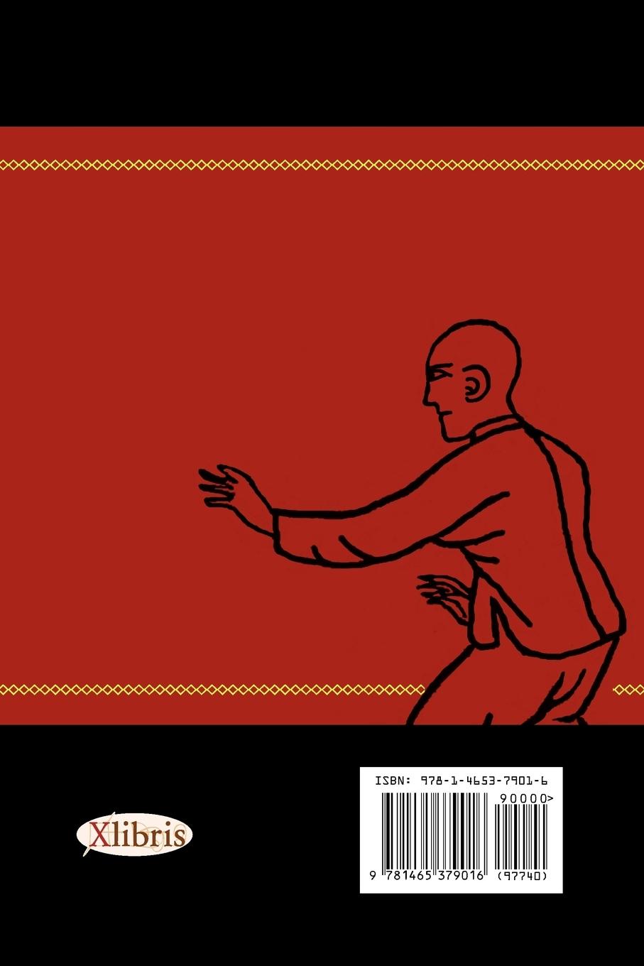 Rückseitencover Kung Fu Engineering