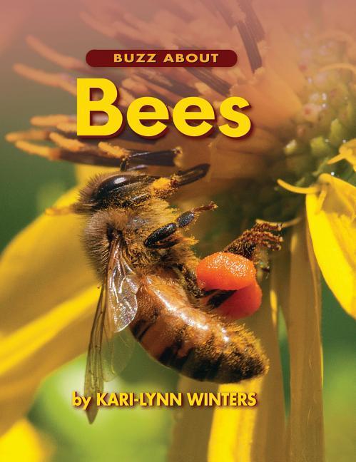 Vorderes Coverbild Buzz about Bees