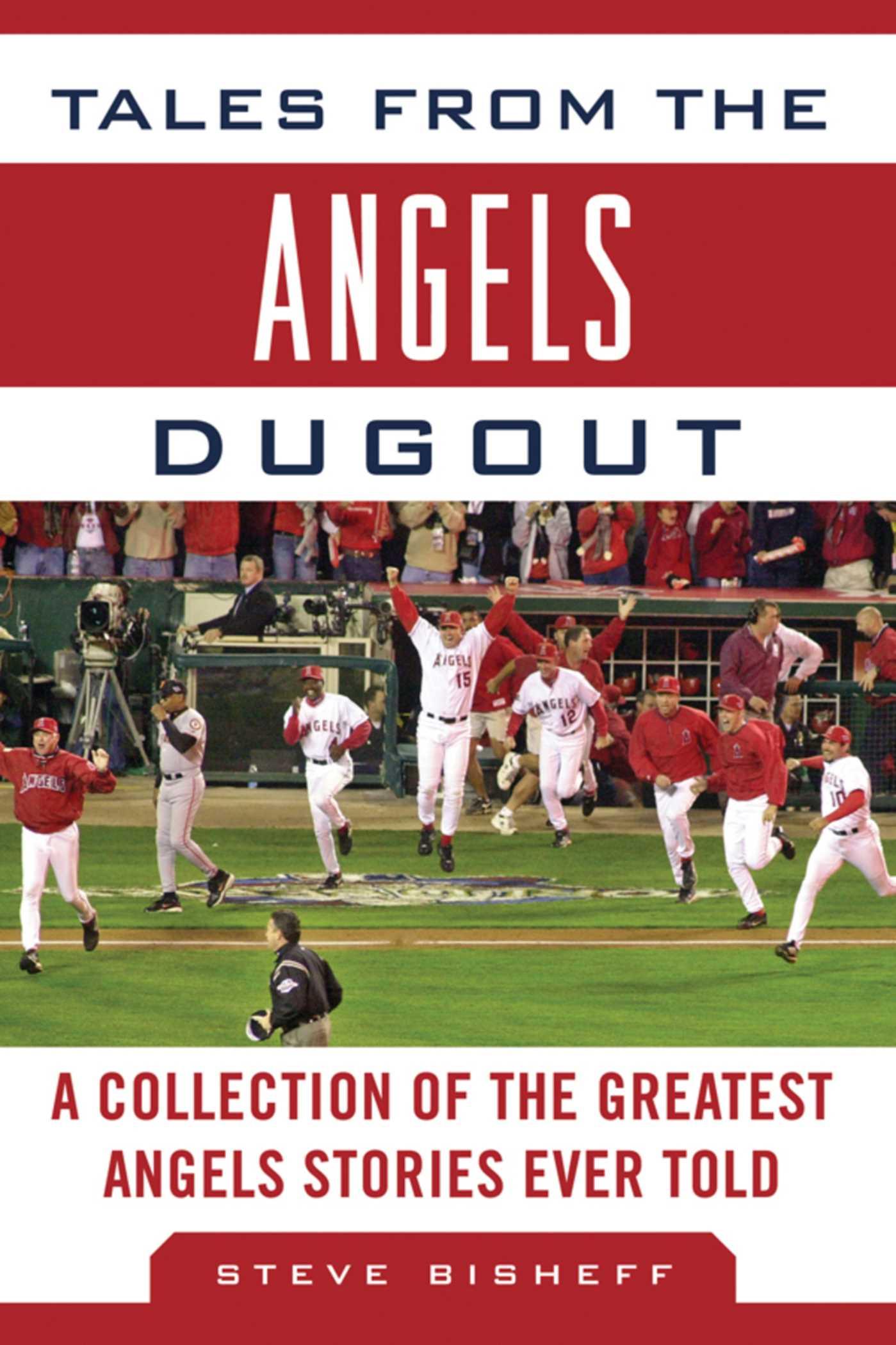 Vorderes Coverbild Tales from the Angels Dugout