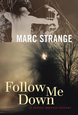 Vorderes Coverbild Follow Me Down