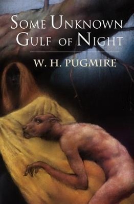 Vorderes Coverbild Some Unknown Gulf of Night