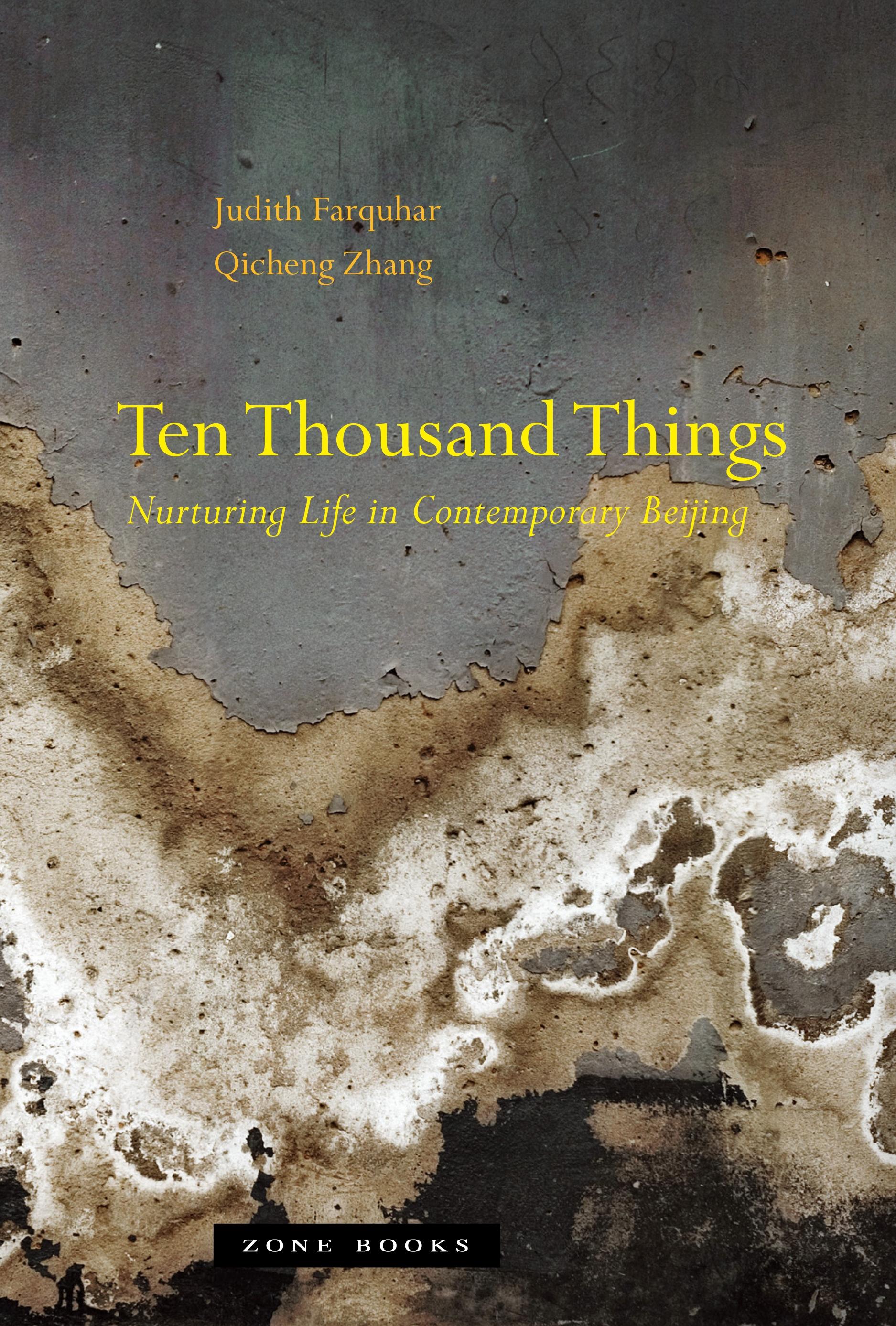 Vorderes Coverbild Ten Thousand Things