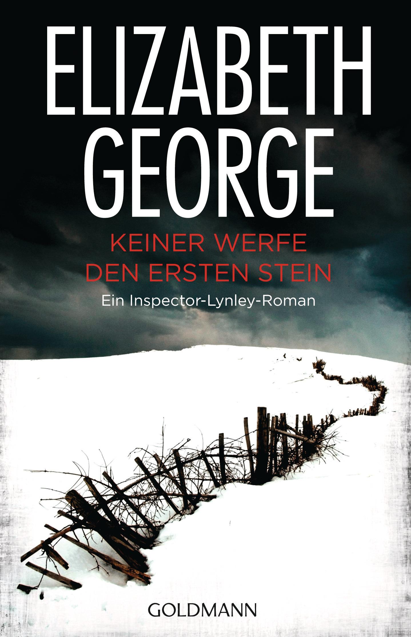 Vorderes Coverbild Keiner werfe den ersten Stein