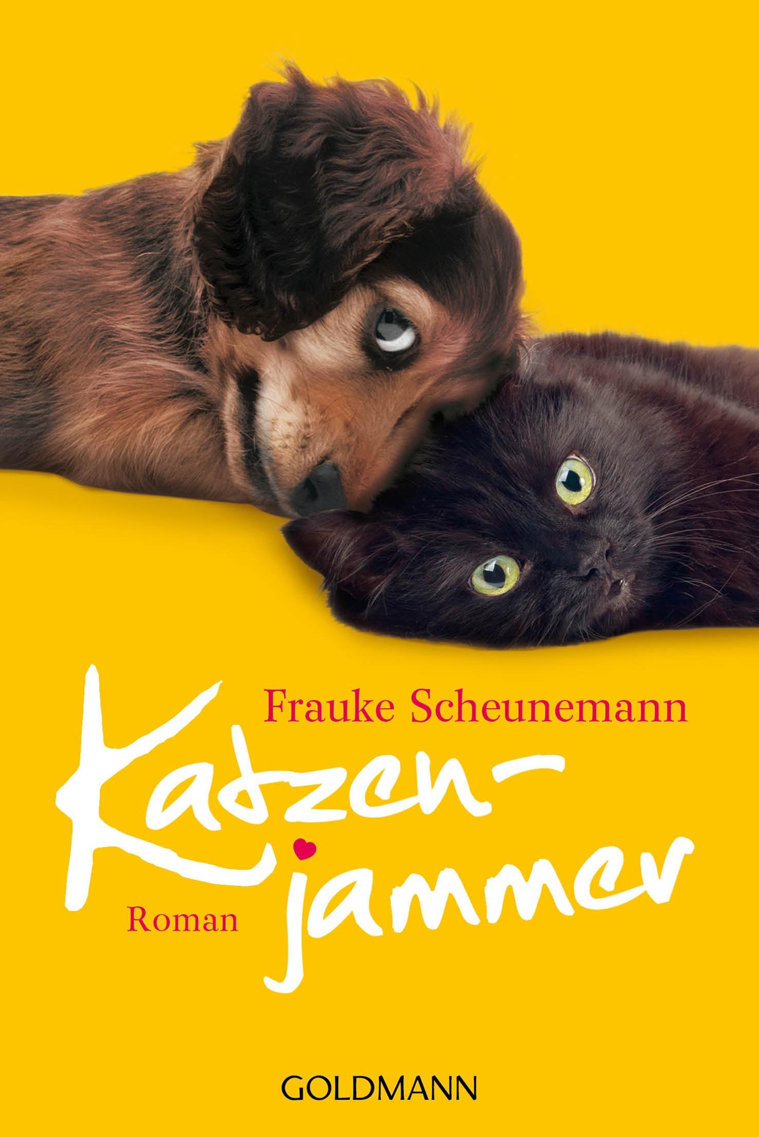 Vorderes Coverbild Katzenjammer