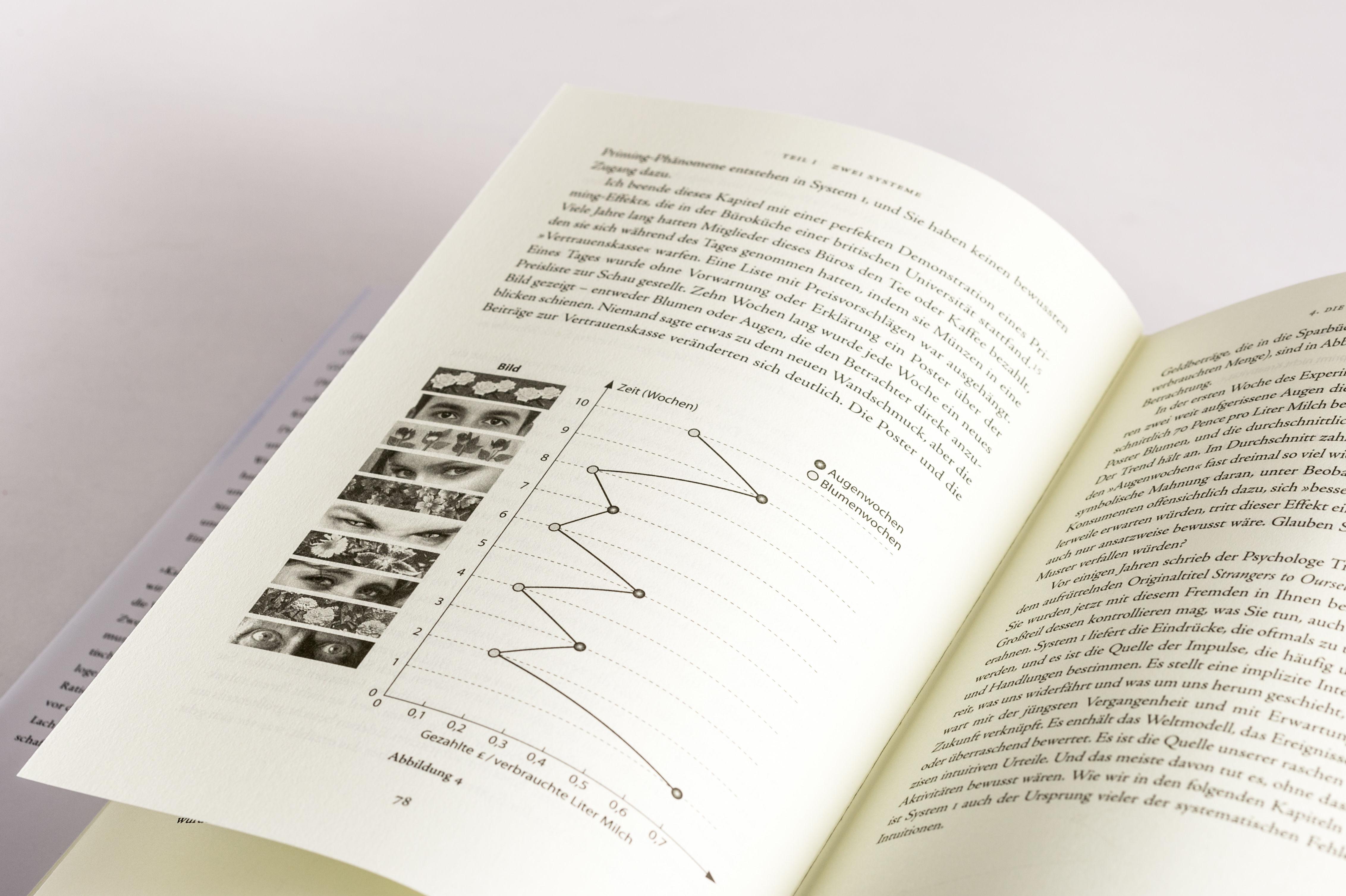 Beispielinhalt (Bild) Schnelles Denken, langsames Denken