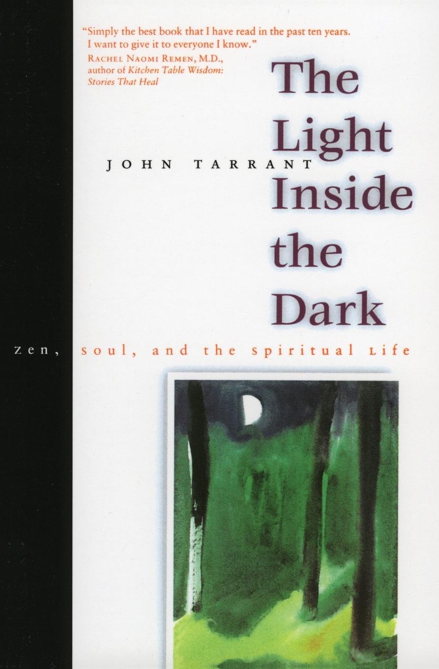 Vorderes Coverbild Light Inside the Dark, The