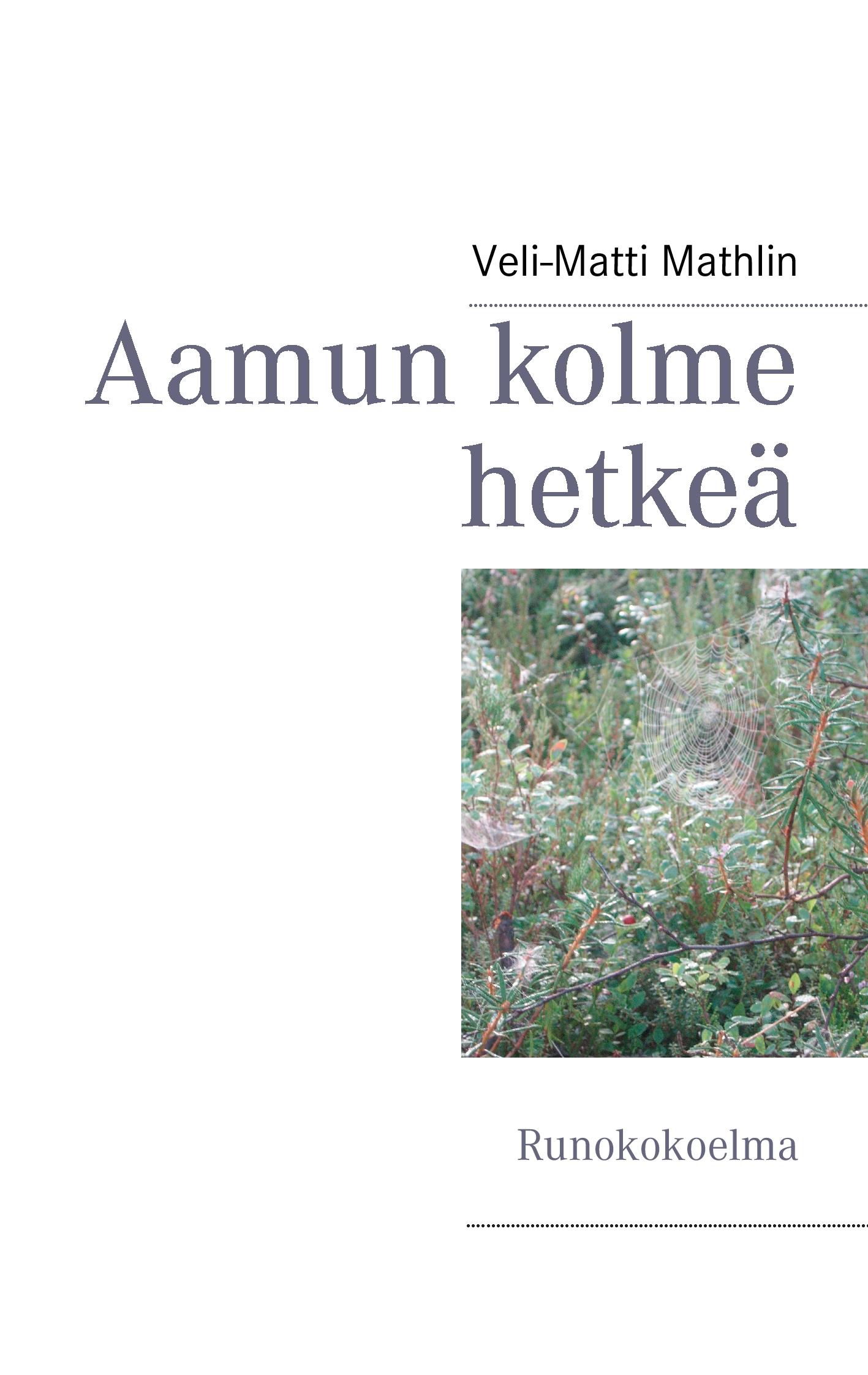 Vorderes Coverbild Aamun kolme hetkeä