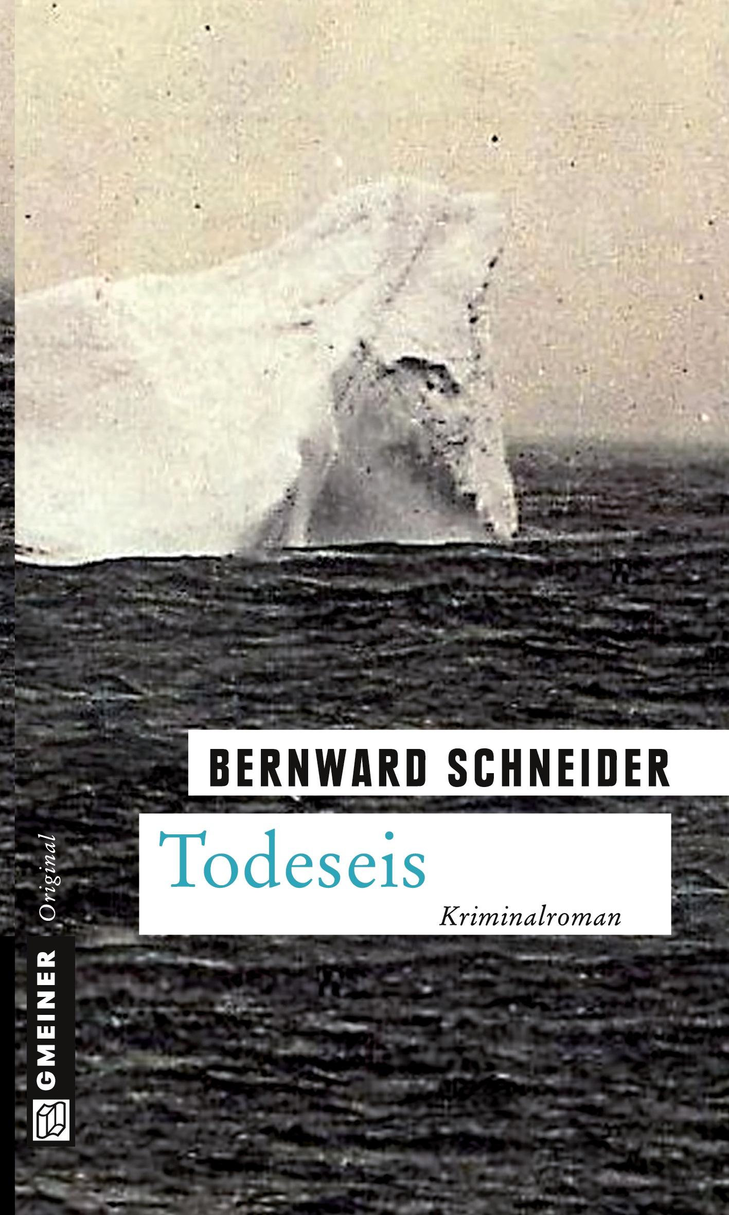Vorderes Coverbild Todeseis