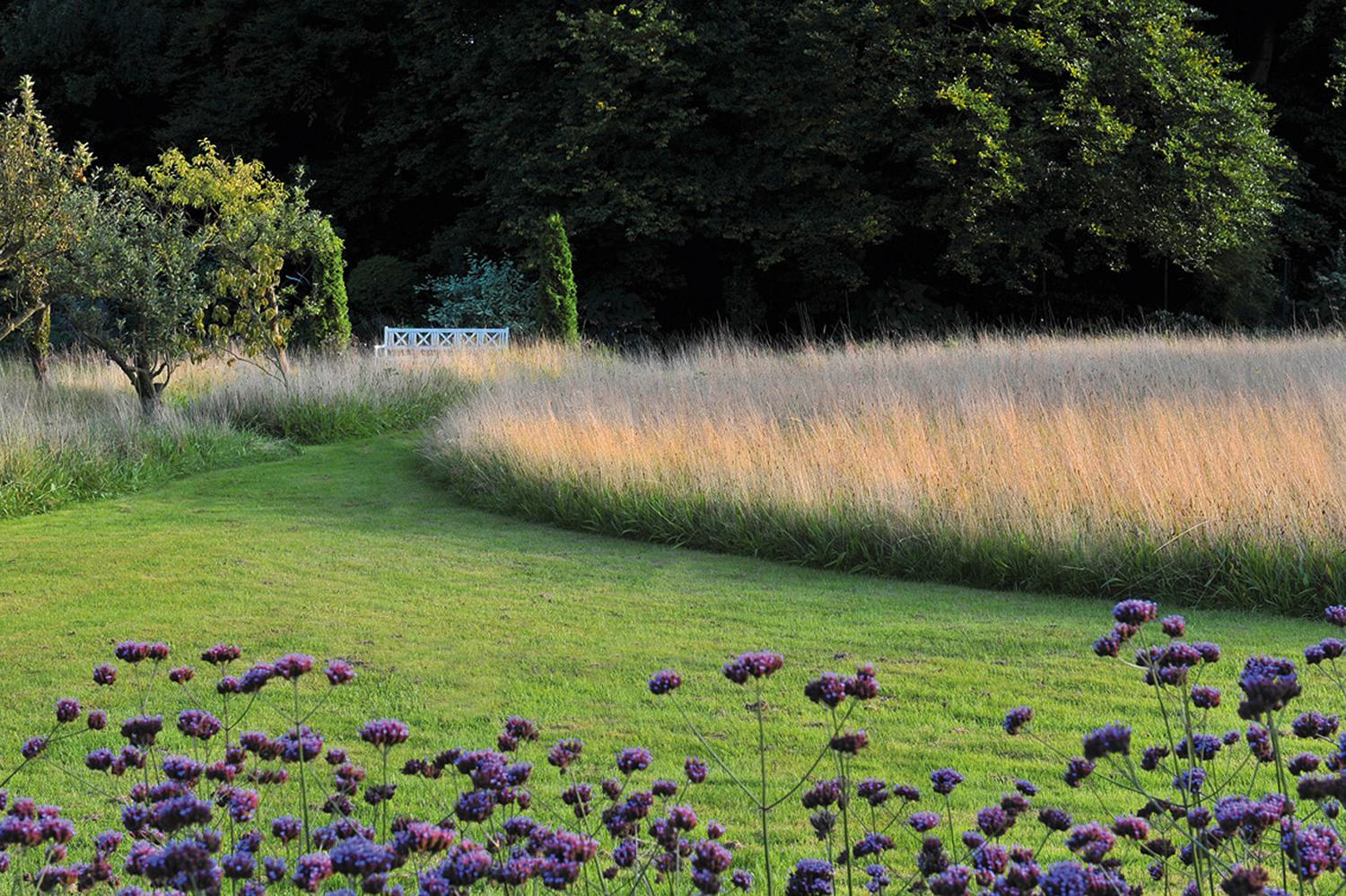 Beispielinhalt (Bild) Meine Vision wird Garten