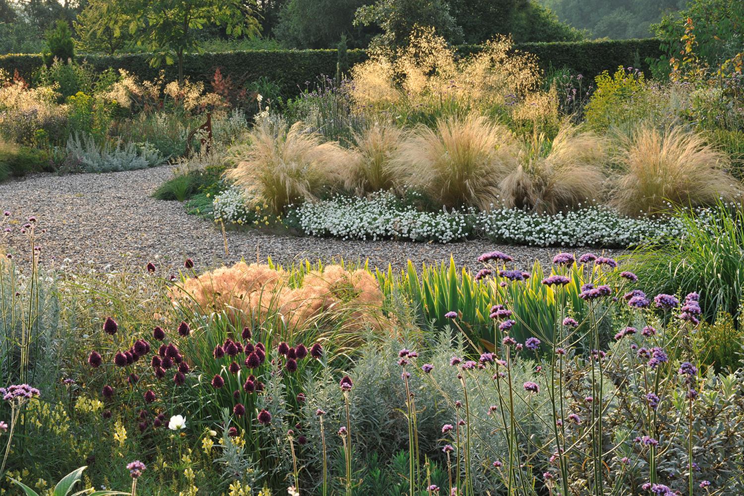 Beispielinhalt (Bild) Meine Vision wird Garten