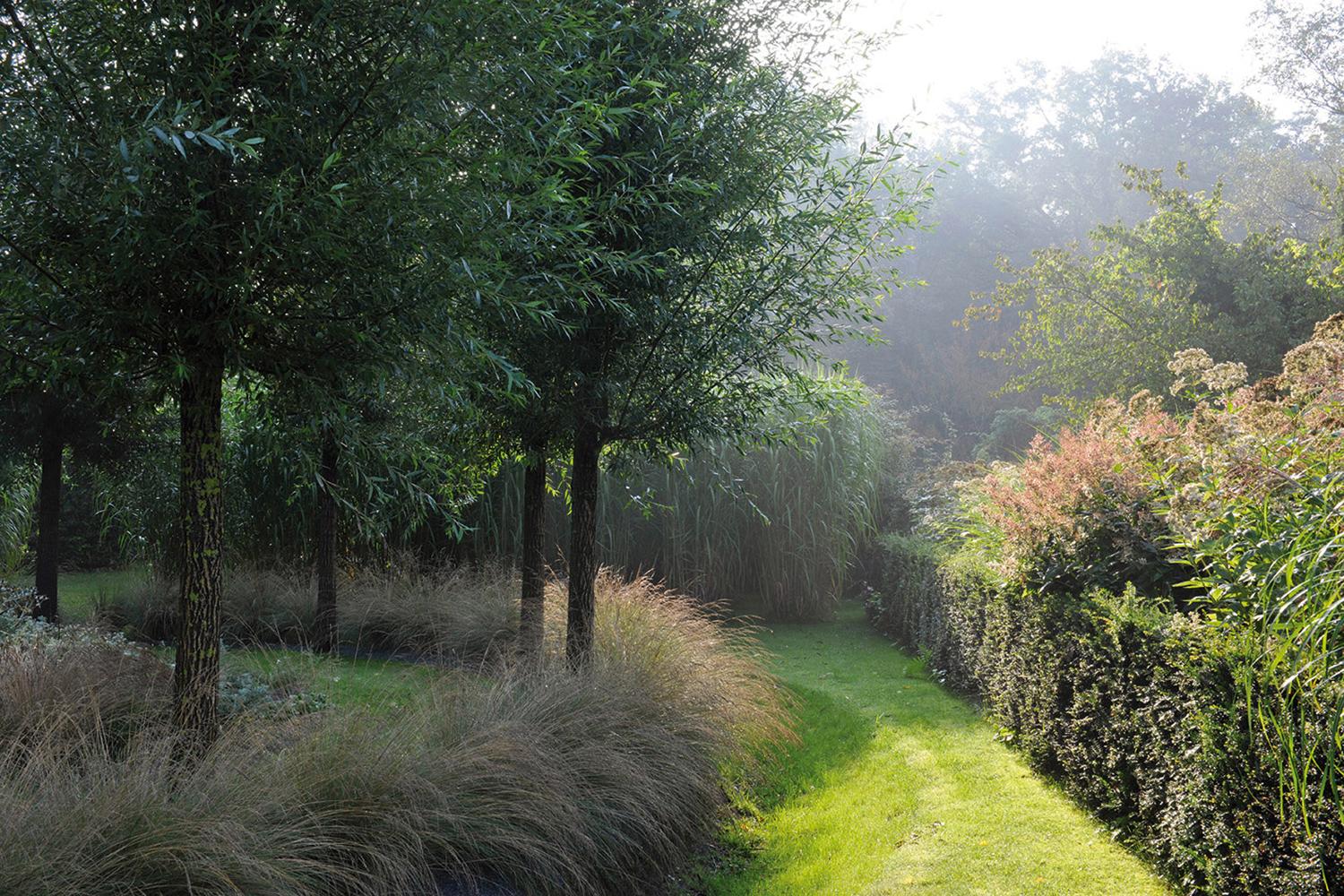 Beispielinhalt (Bild) Meine Vision wird Garten