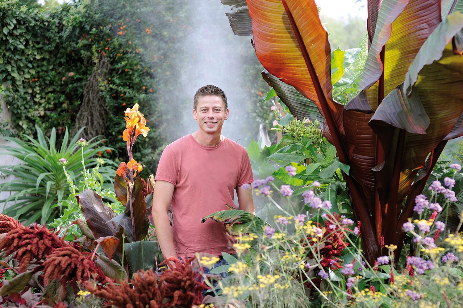 Beispielinhalt (Bild) Meine Vision wird Garten