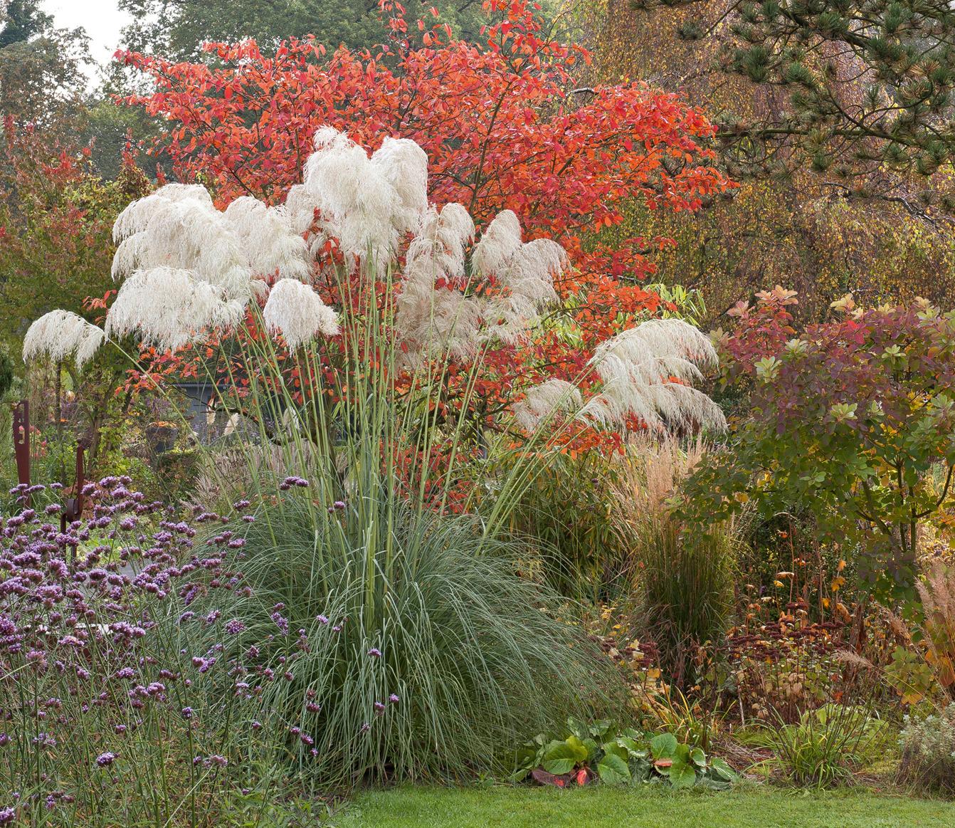 Beispielinhalt (Bild) Meine Vision wird Garten