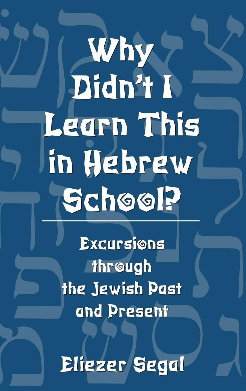Vorderes Coverbild Why Didn't I Learn This in Hebrew School?