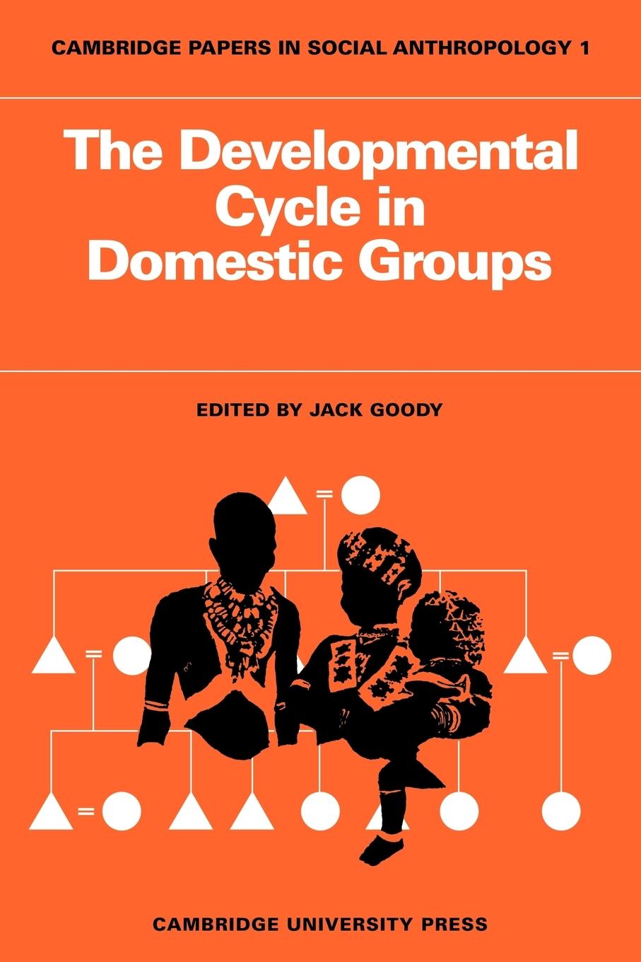 Vorderes Coverbild The Developmental Cycle in Domestic Groups