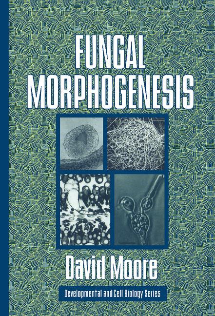 Vorderes Coverbild Fungal Morphogenesis