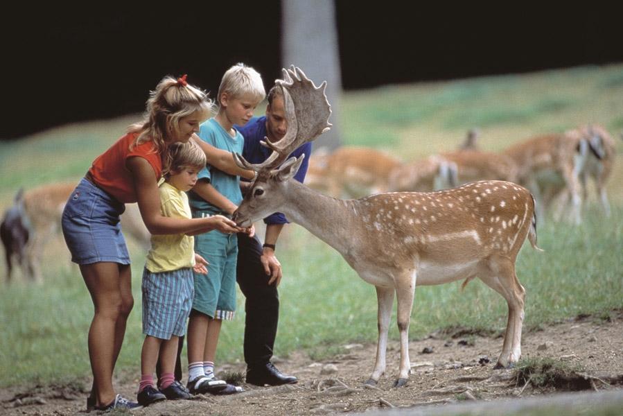Beispielinhalt (Bild) Säugetiere und Mensch. 2 Bände
