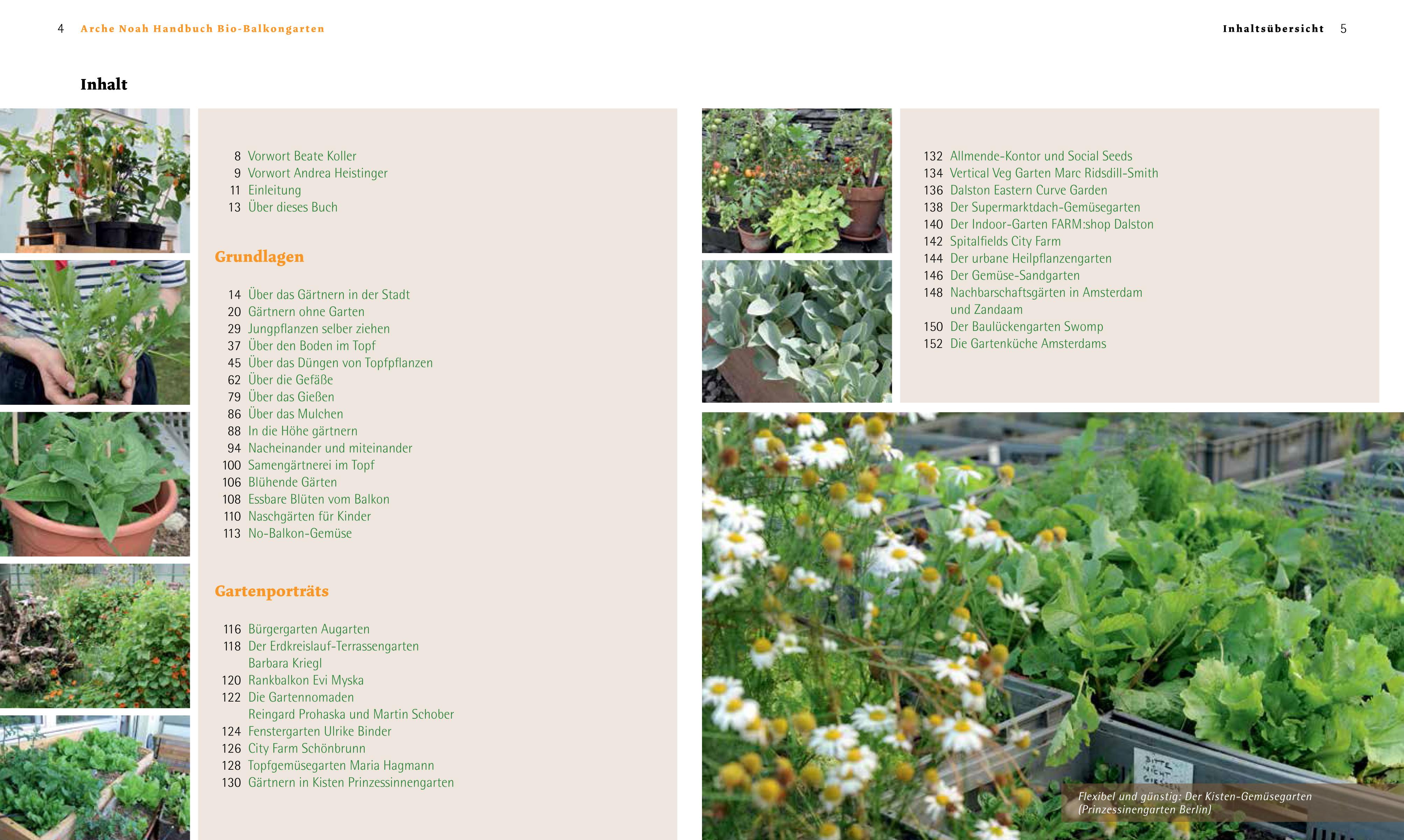 Beispielinhalt (Bild) Handbuch Bio-Balkongarten