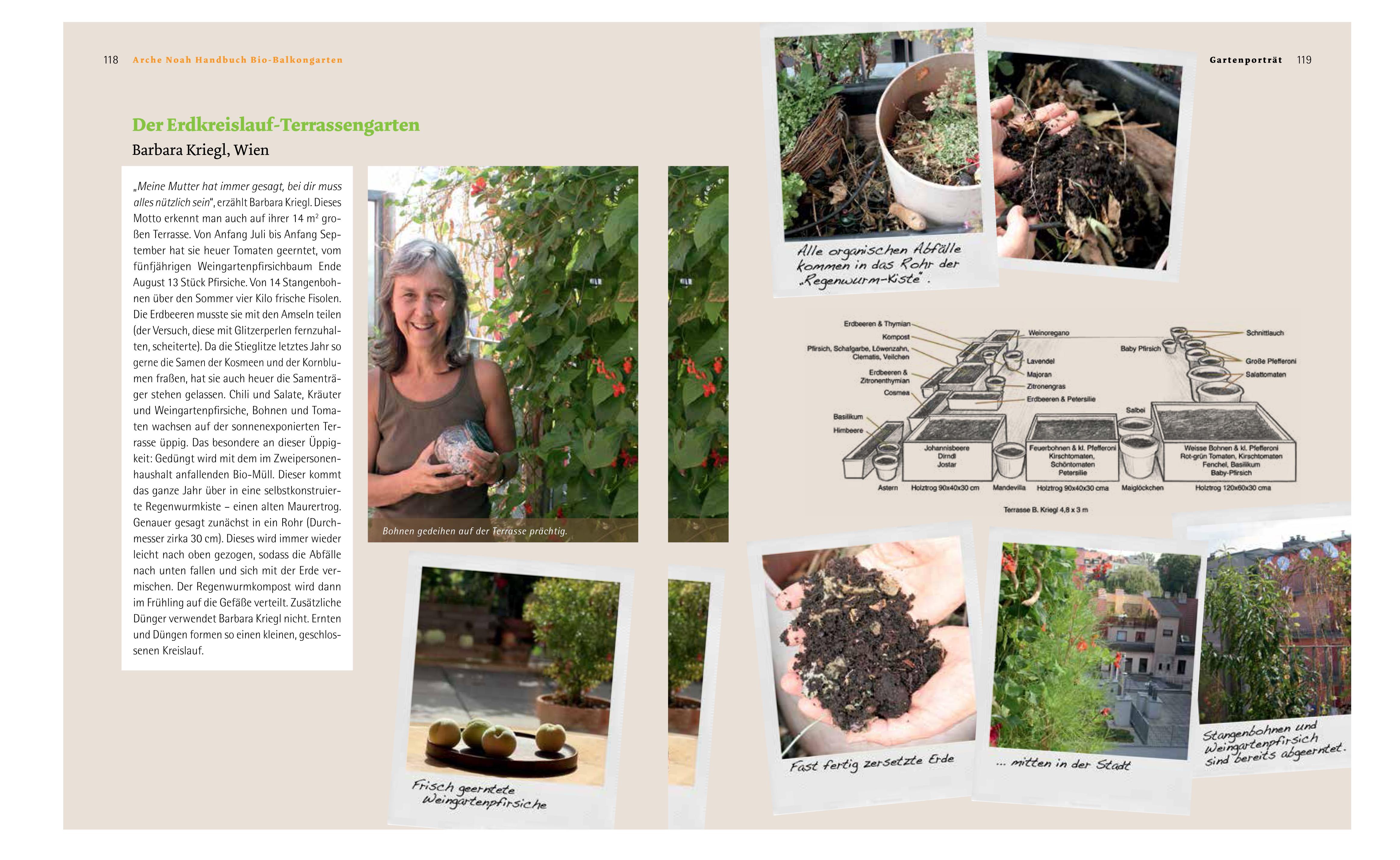 Beispielinhalt (Bild) Handbuch Bio-Balkongarten