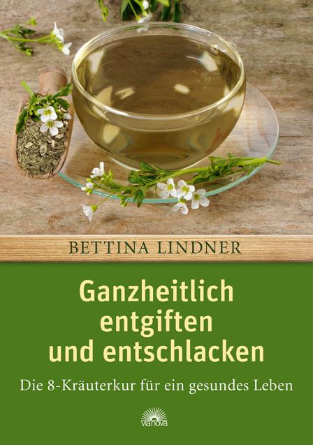 Vorderes Coverbild Ganzheitlich entgiften und entschlacken