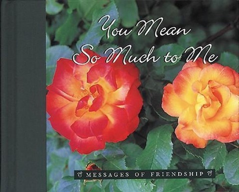 Vorderes Coverbild The You Mean So Much to Me: An American Corporate Success Story