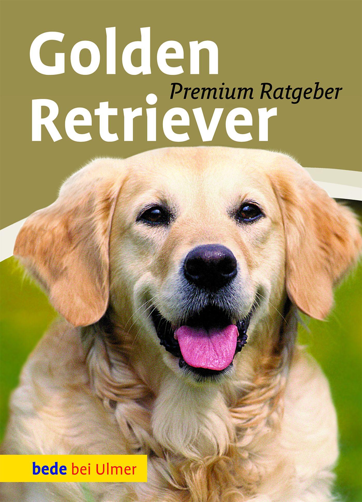 Vorderes Coverbild Golden Retriever