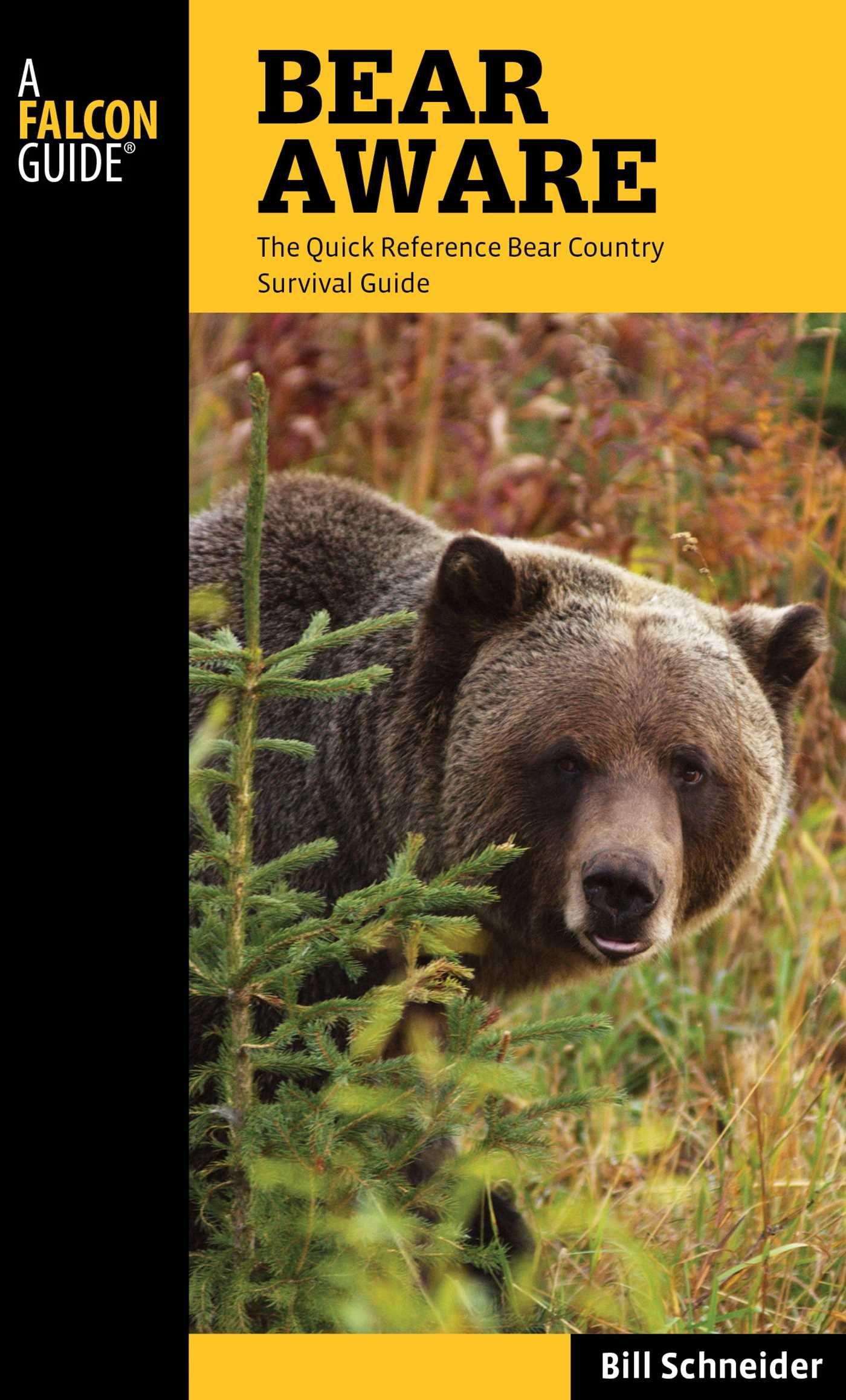 Vorderes Coverbild Bear Aware