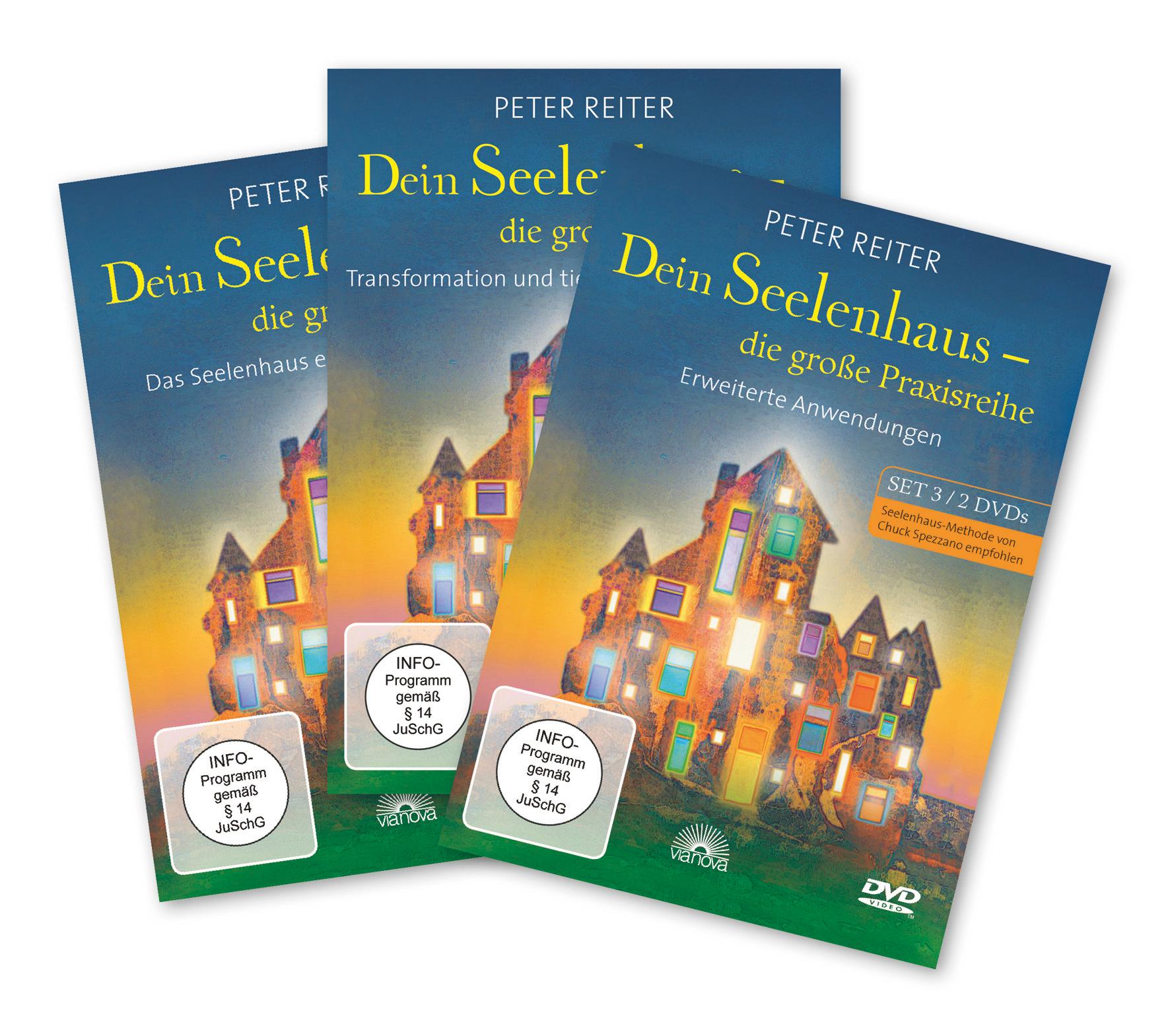 Vorderes Coverbild Dein Seelenhaus - die große Praxisreihe