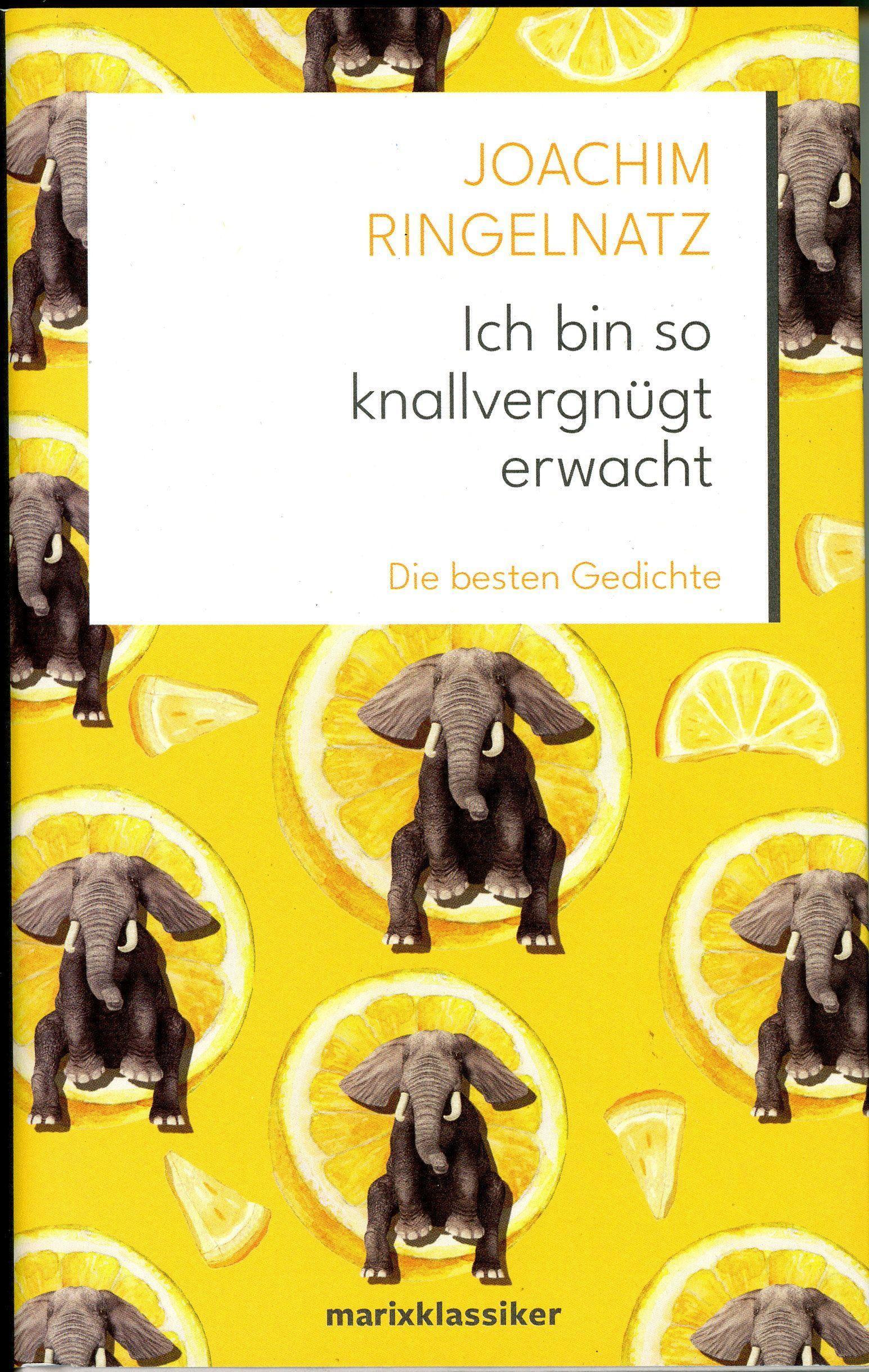 Vorderes Coverbild Ich bin so knallvergnügt erwacht