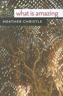 Vorderes Coverbild What Is Amazing