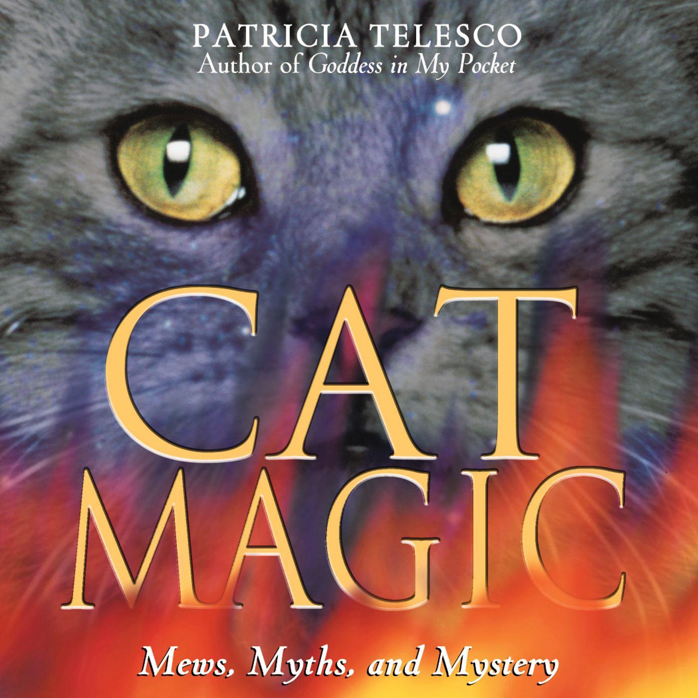 Vorderes Coverbild Cat Magic
