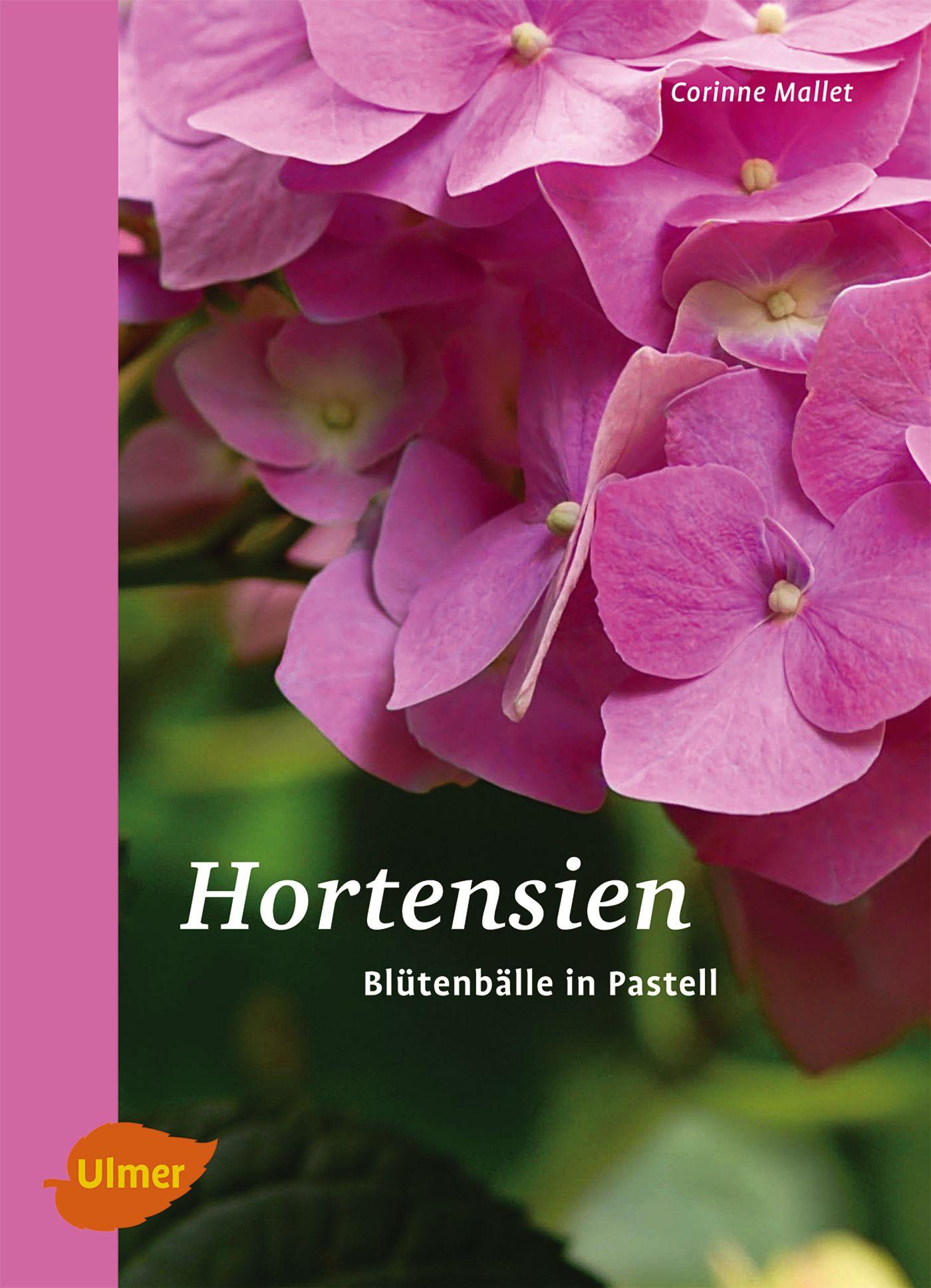 Vorderes Coverbild Hortensien