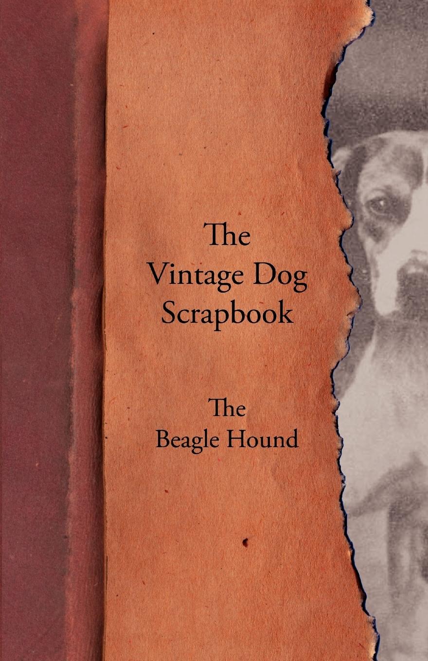 Vorderes Coverbild The Vintage Dog Scrapbook - The Beagle Hound