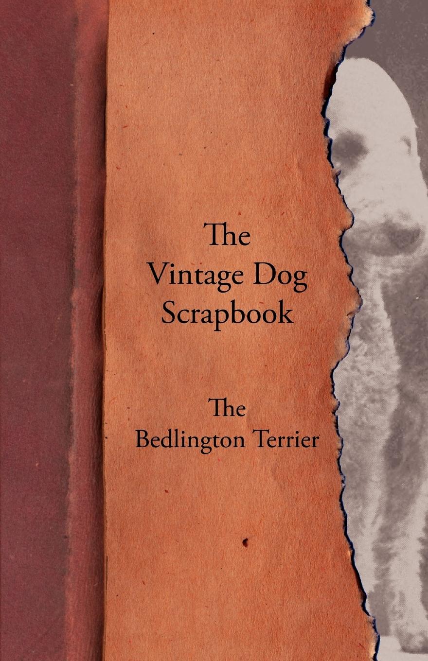 Vorderes Coverbild The Vintage Dog Scrapbook - The Bedlington Terrier