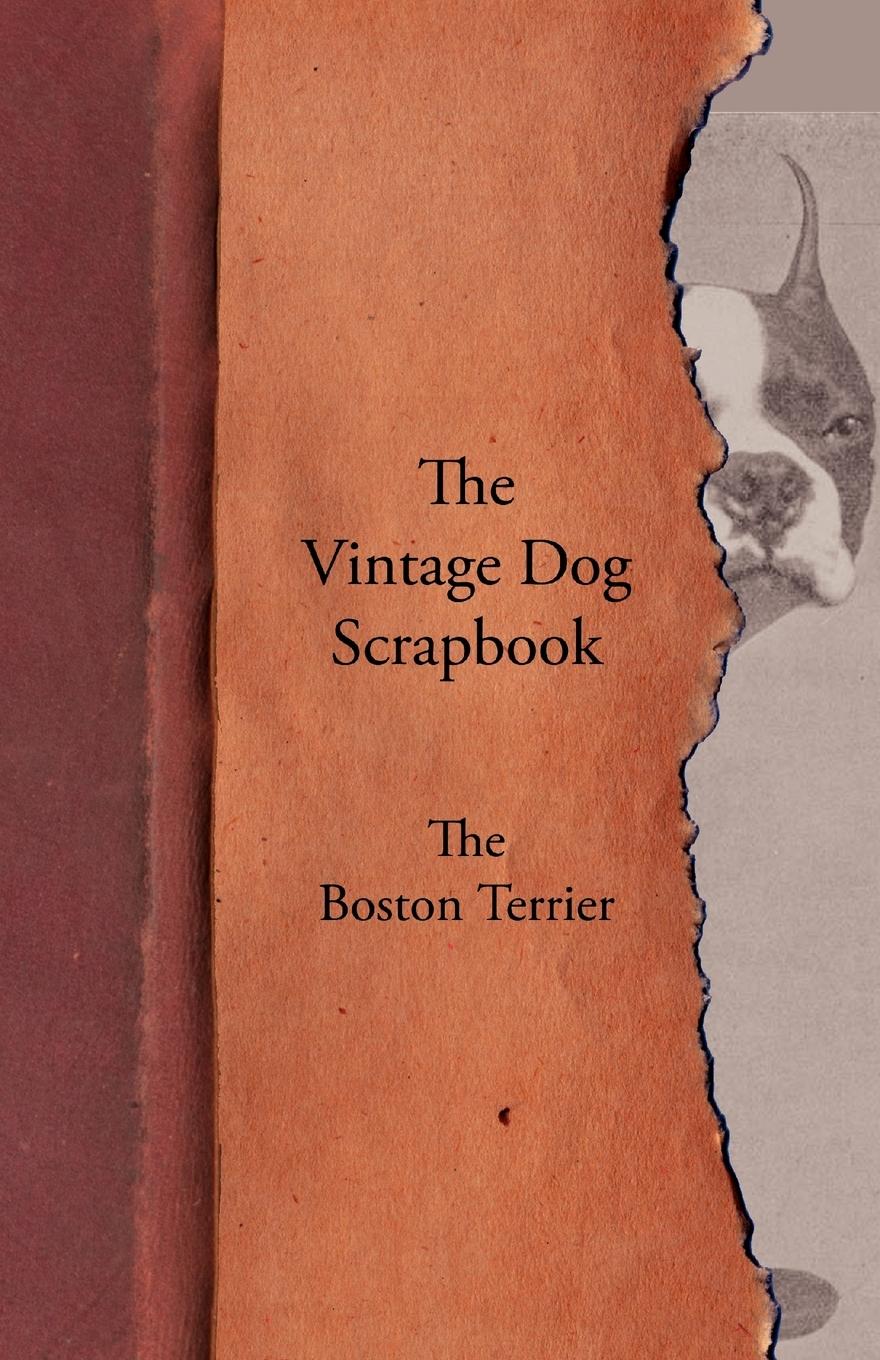 Vorderes Coverbild The Vintage Dog Scrapbook - The Boston Terrier