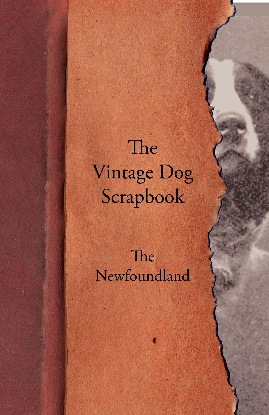 Vorderes Coverbild The Vintage Dog Scrapbook - The Newfoundland