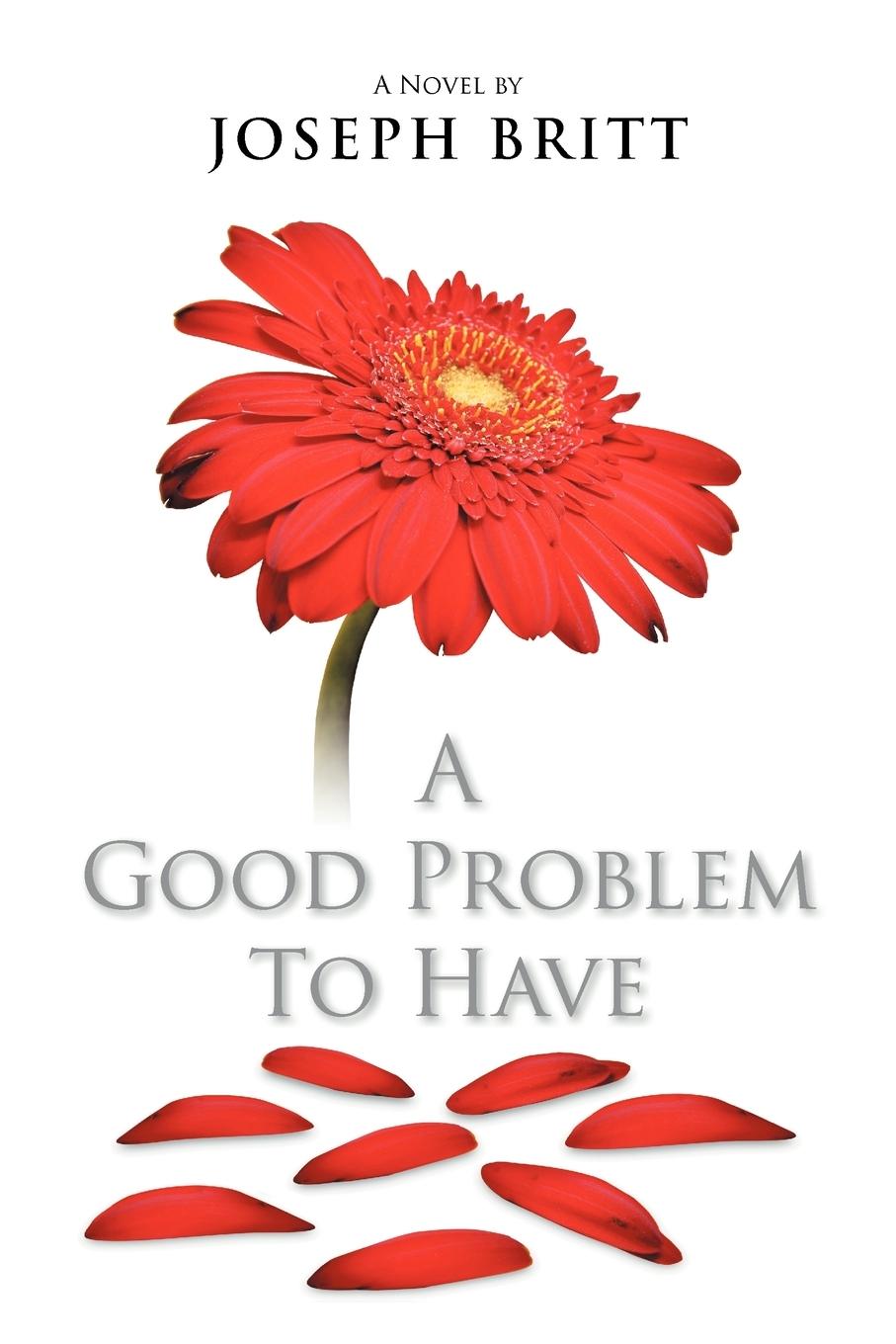 Vorderes Coverbild A Good Problem to Have