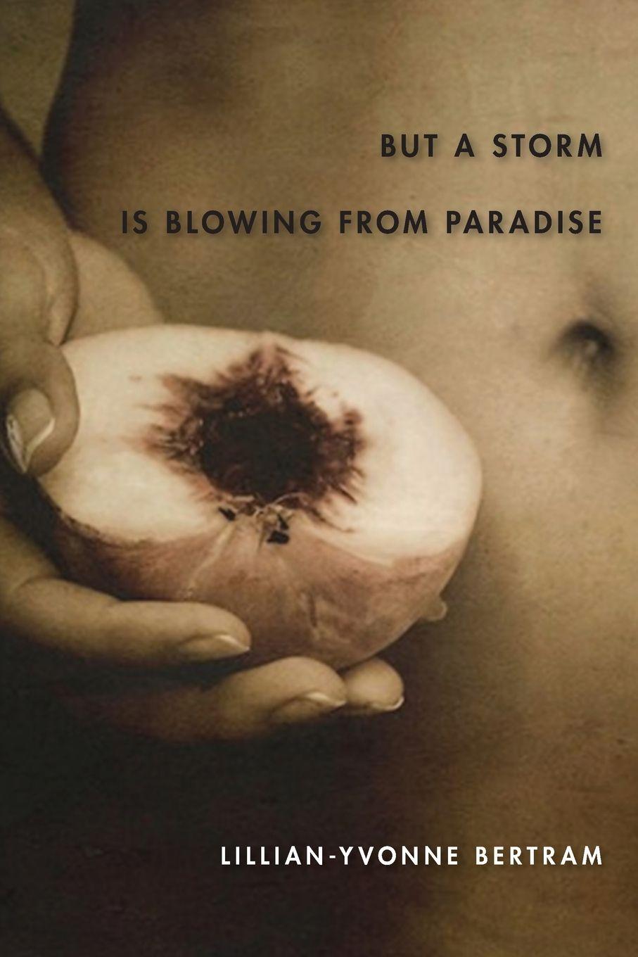 Vorderes Coverbild But a Storm Is Blowing from Paradise